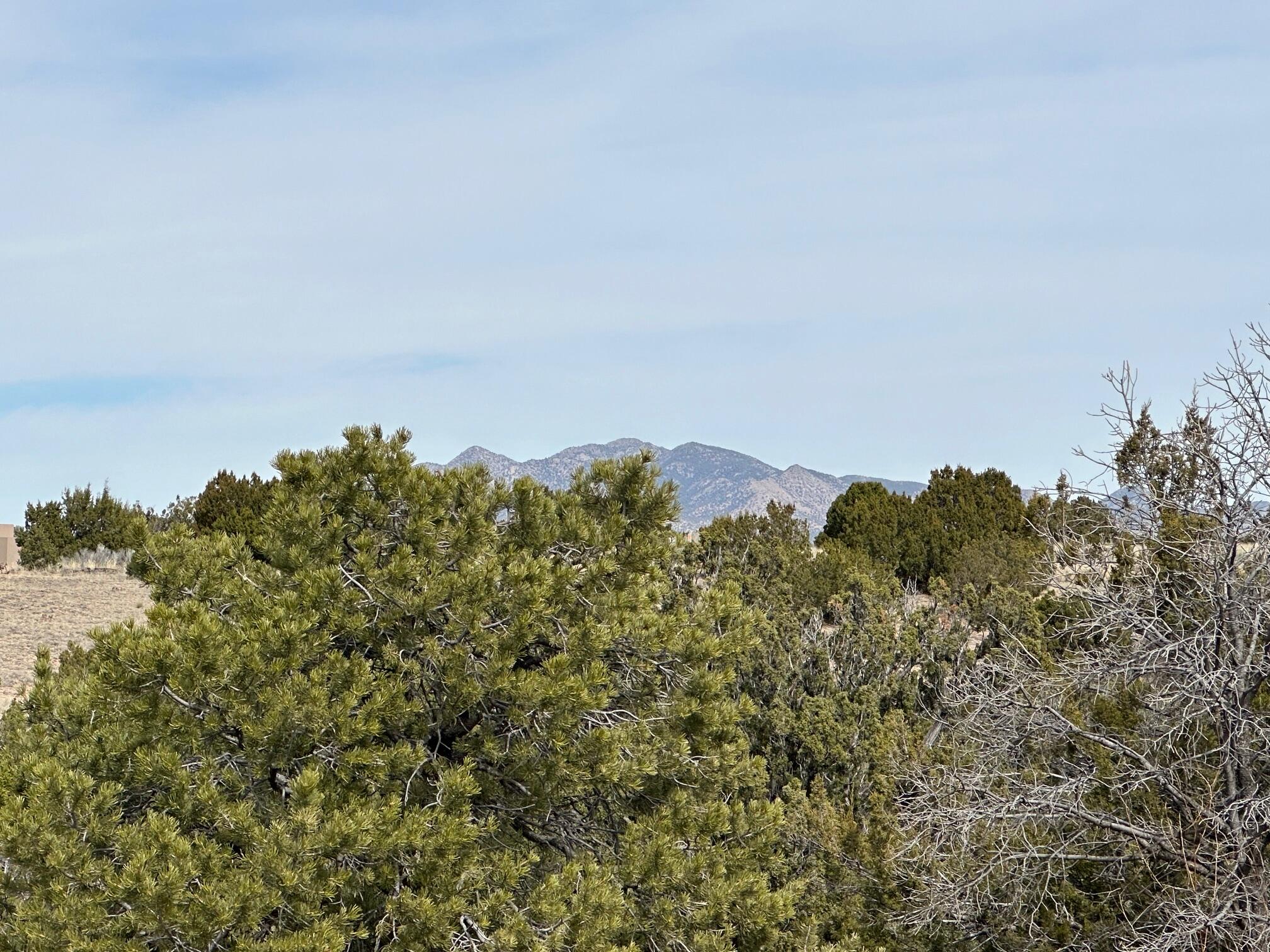 3 Anasazi Trail, Sandia Park, New Mexico image 11