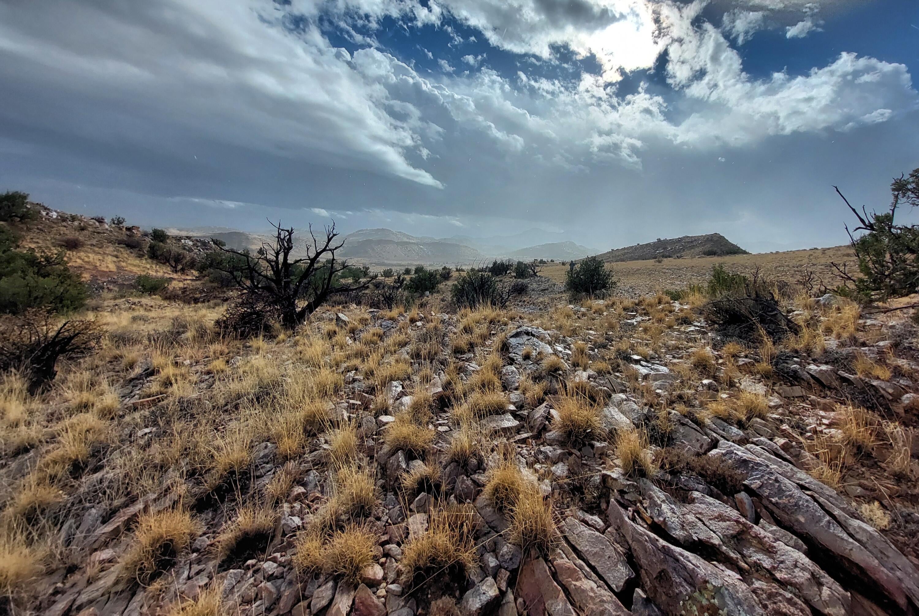 Lot 48 Santa Rita Ranches