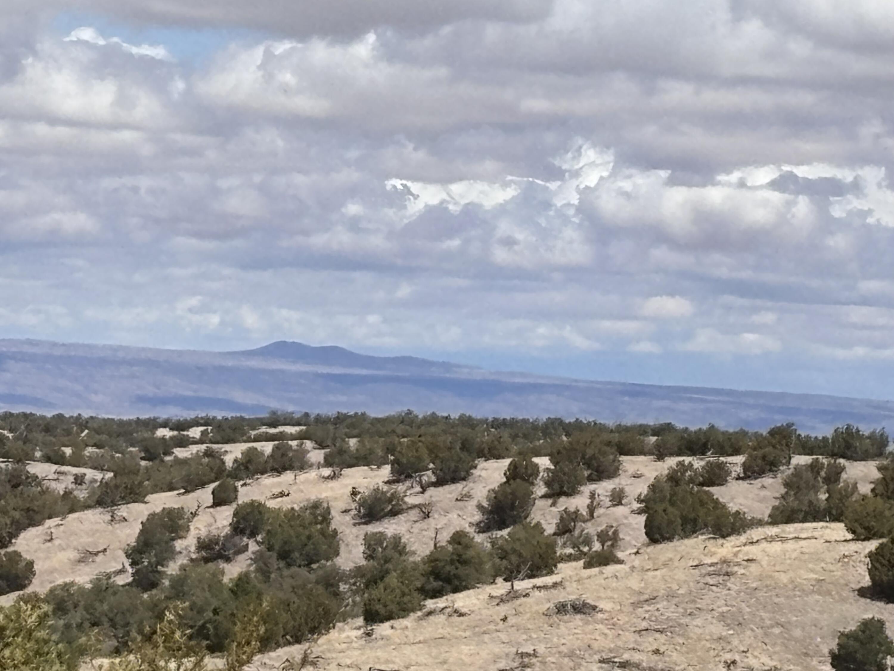 Lot 56 Pinon Springs Ranch, Magdalena, New Mexico image 1