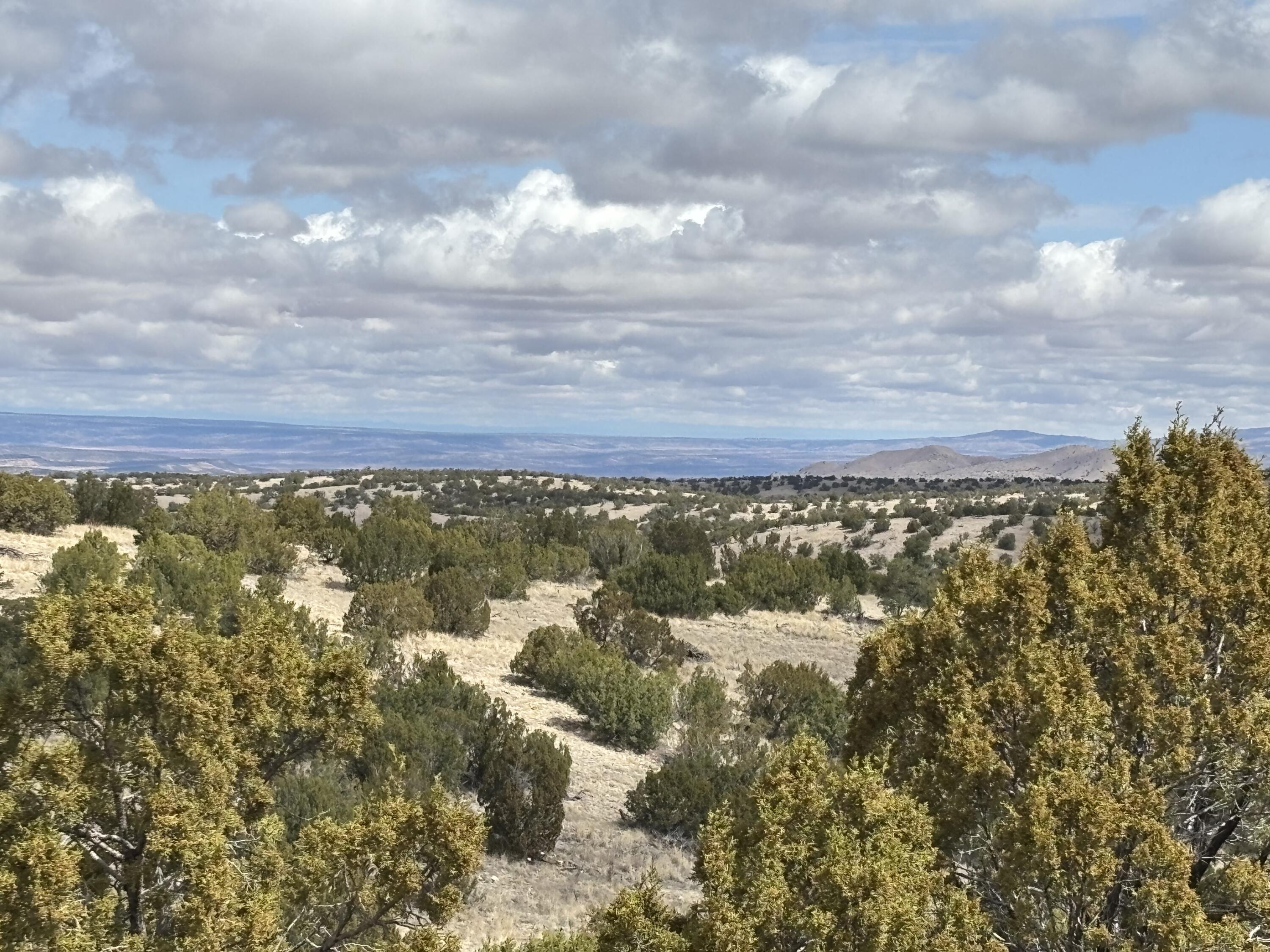 Lot 56 Pinon Springs Ranch, Magdalena, New Mexico image 6