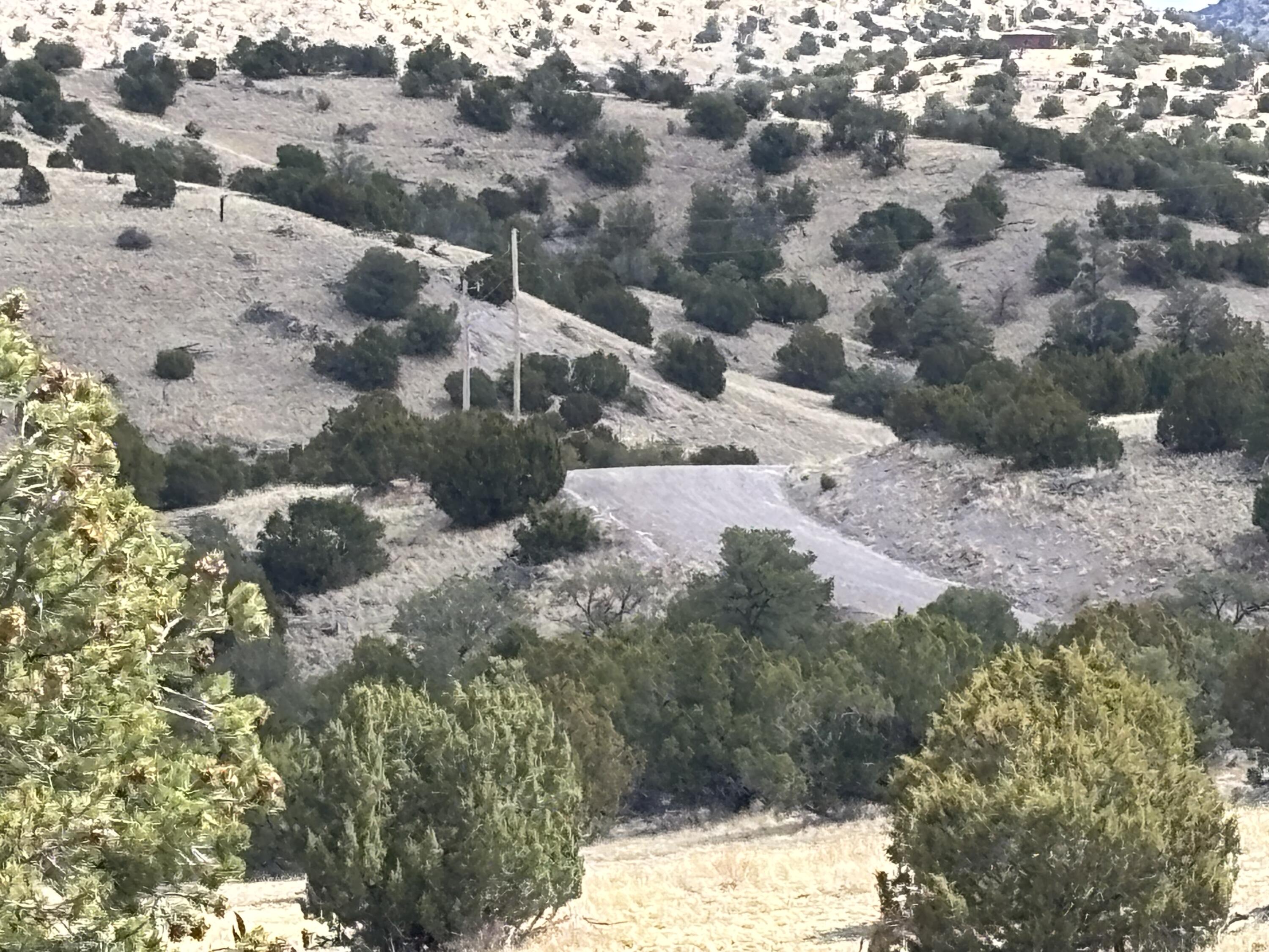 Lot 56 Pinon Springs Ranch, Magdalena, New Mexico image 12