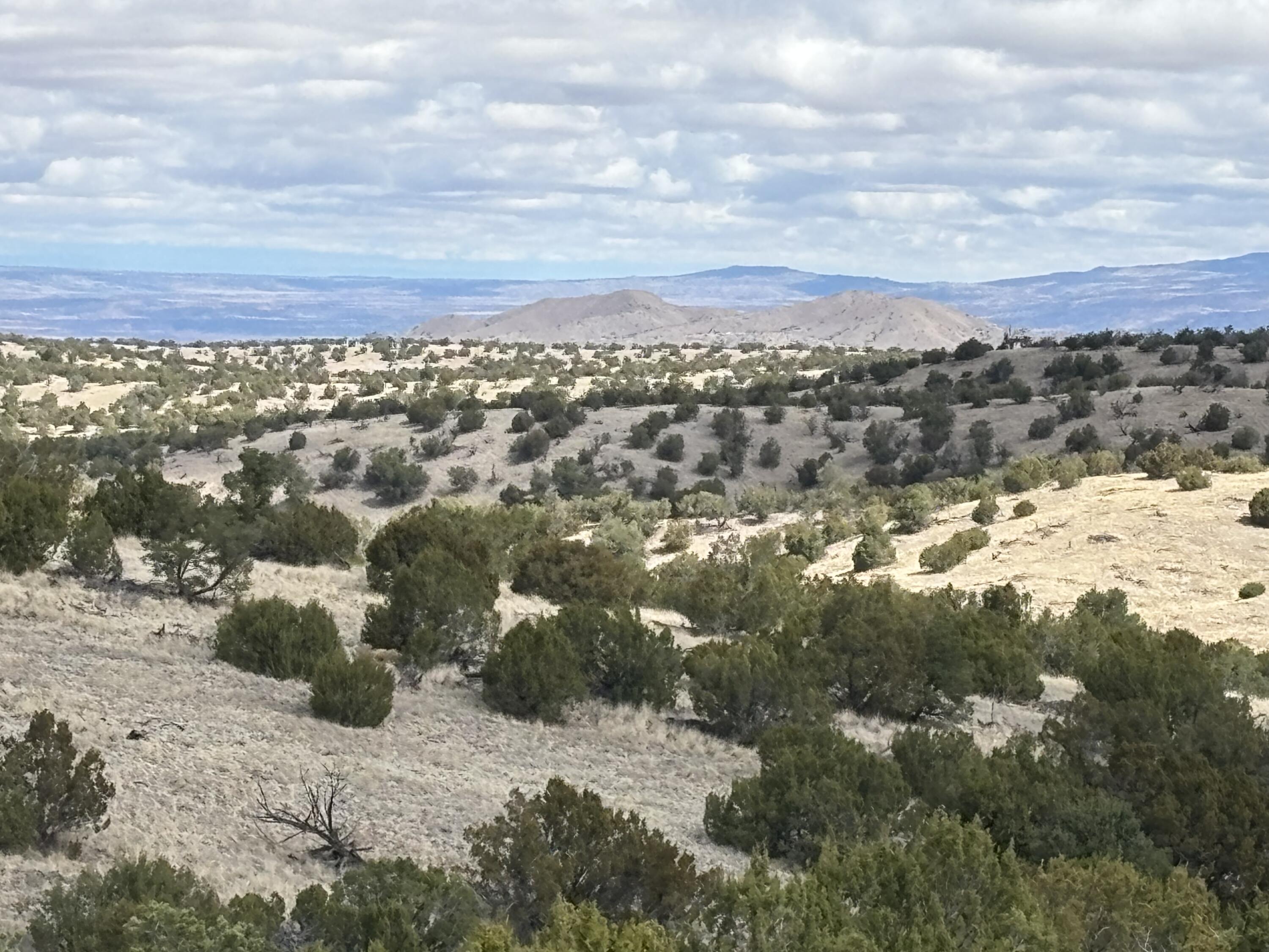 Lot 56 Pinon Springs Ranch, Magdalena, New Mexico image 13