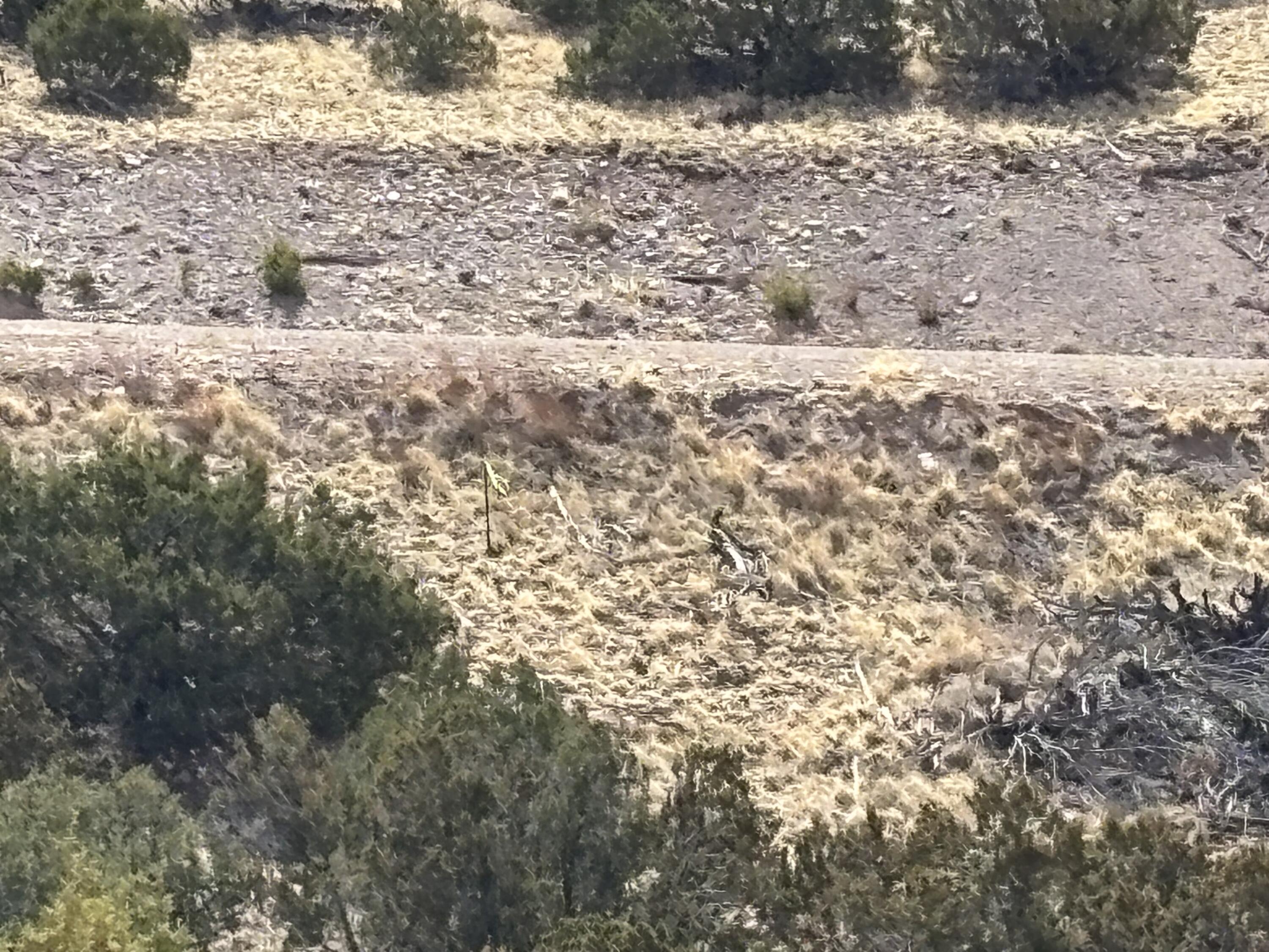 Lot 56 Pinon Springs Ranch, Magdalena, New Mexico image 4