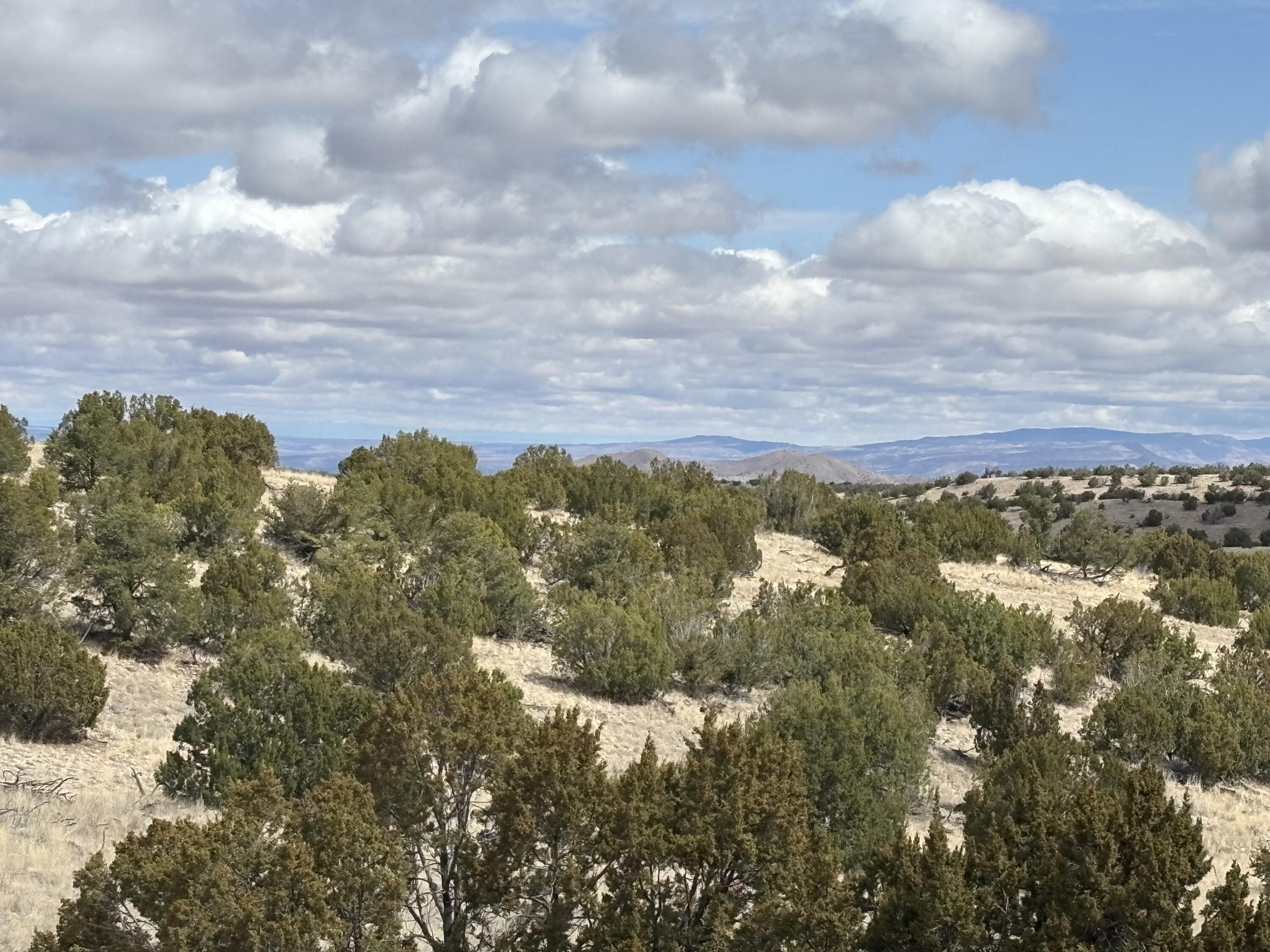 Lot 56 Pinon Springs Ranch, Magdalena, New Mexico image 9