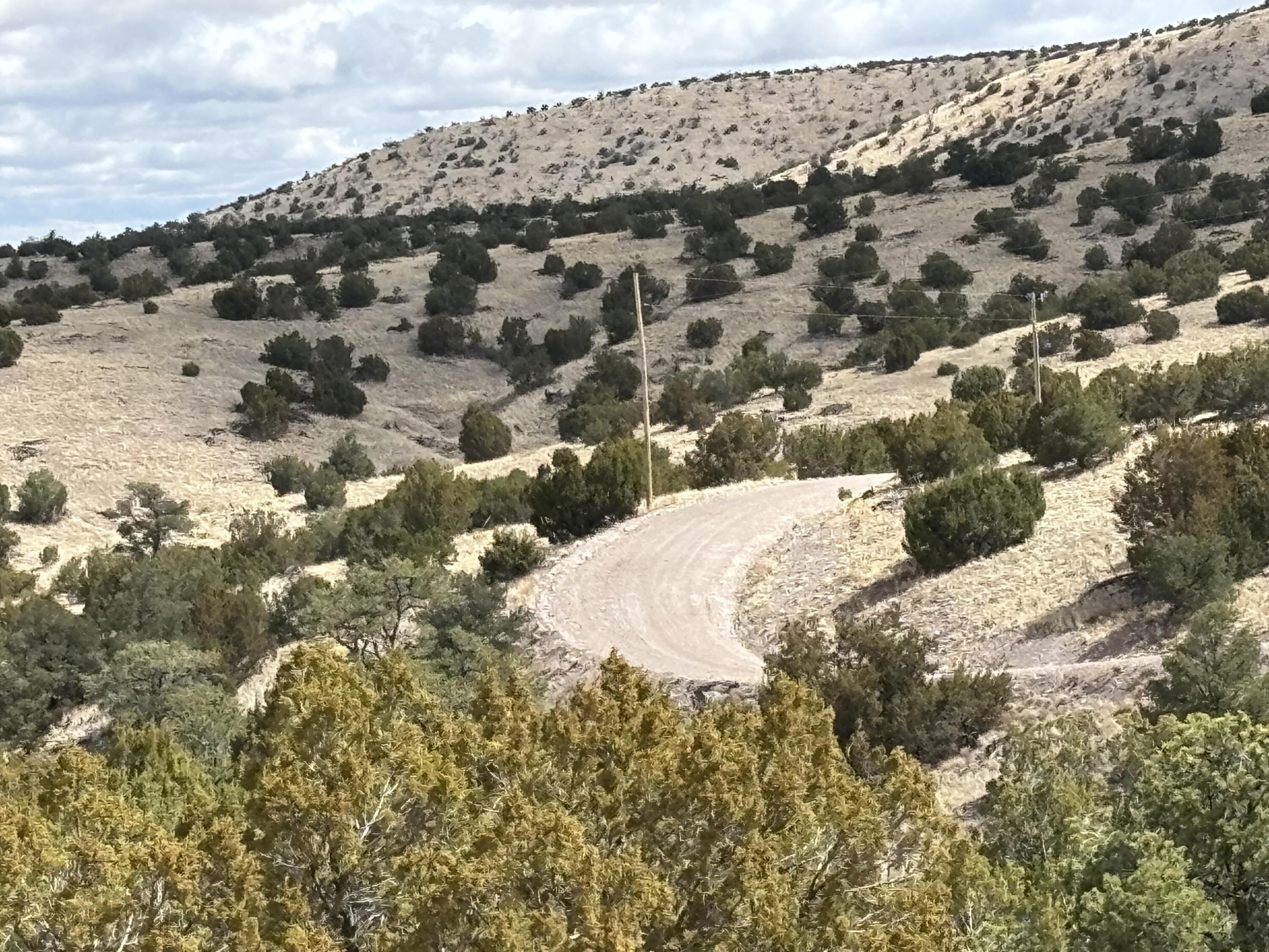 Lot 56 Pinon Springs Ranch, Magdalena, New Mexico image 7