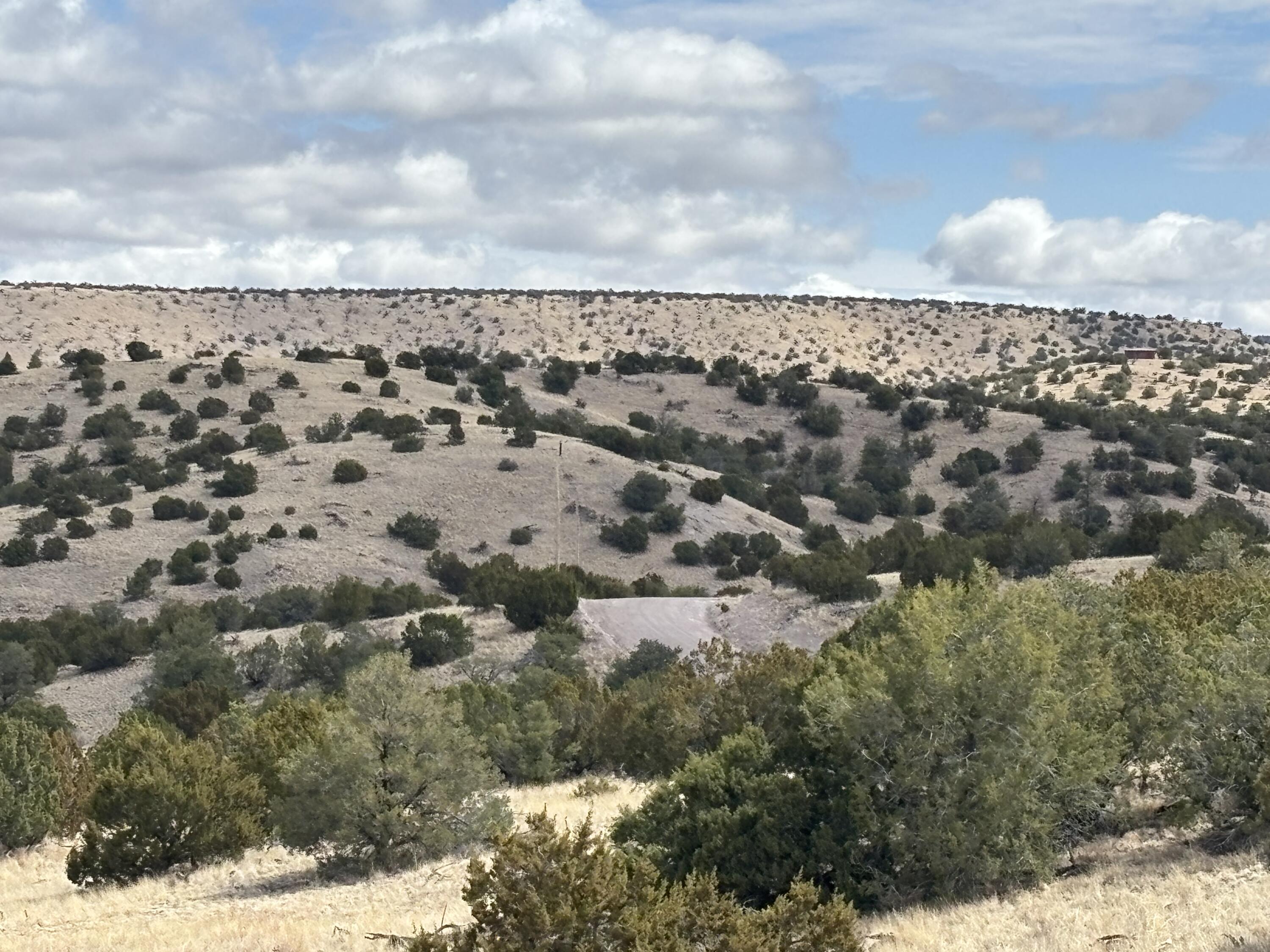 Lot 56 Pinon Springs Ranch, Magdalena, New Mexico image 11