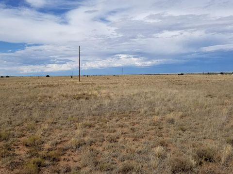 Vacant Land For Sale - 46 Giruado Road<br/> Torrance County, Estancia, NM 87016