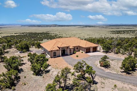 Photo of 19 Creekside Drive, Quemado, NM 87829 (MLS # 1102898)