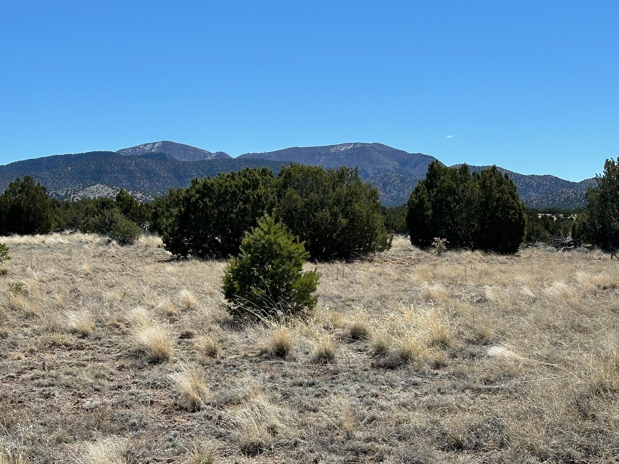 12 Creekside Trail, Sandia Park, New Mexico image 13