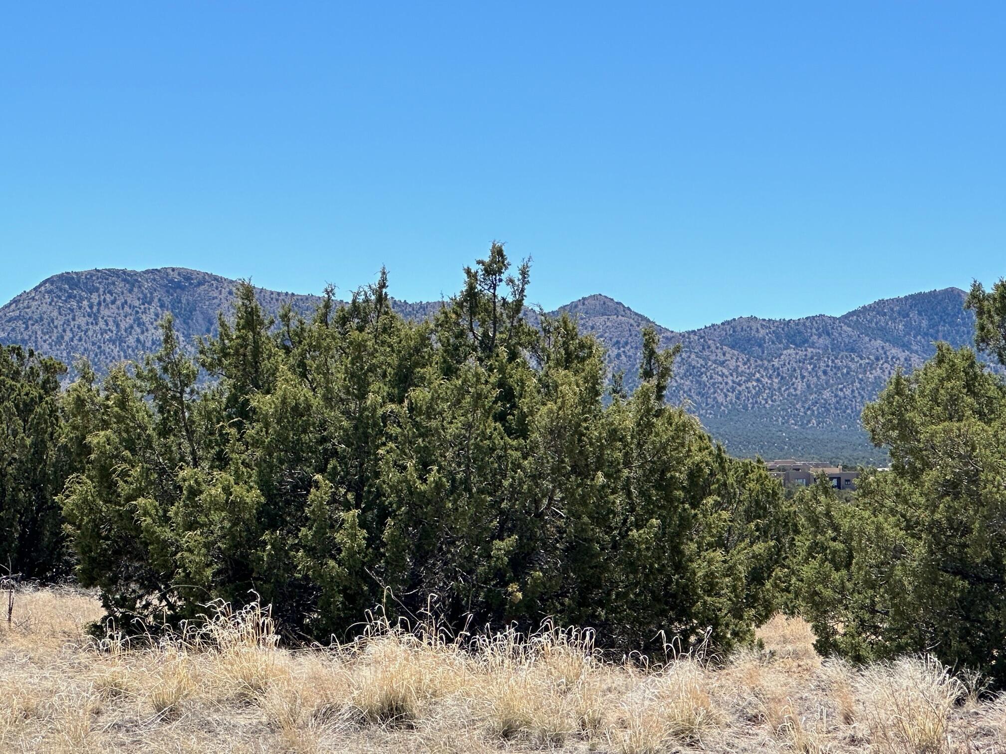 12 Creekside Trail, Sandia Park, New Mexico image 8