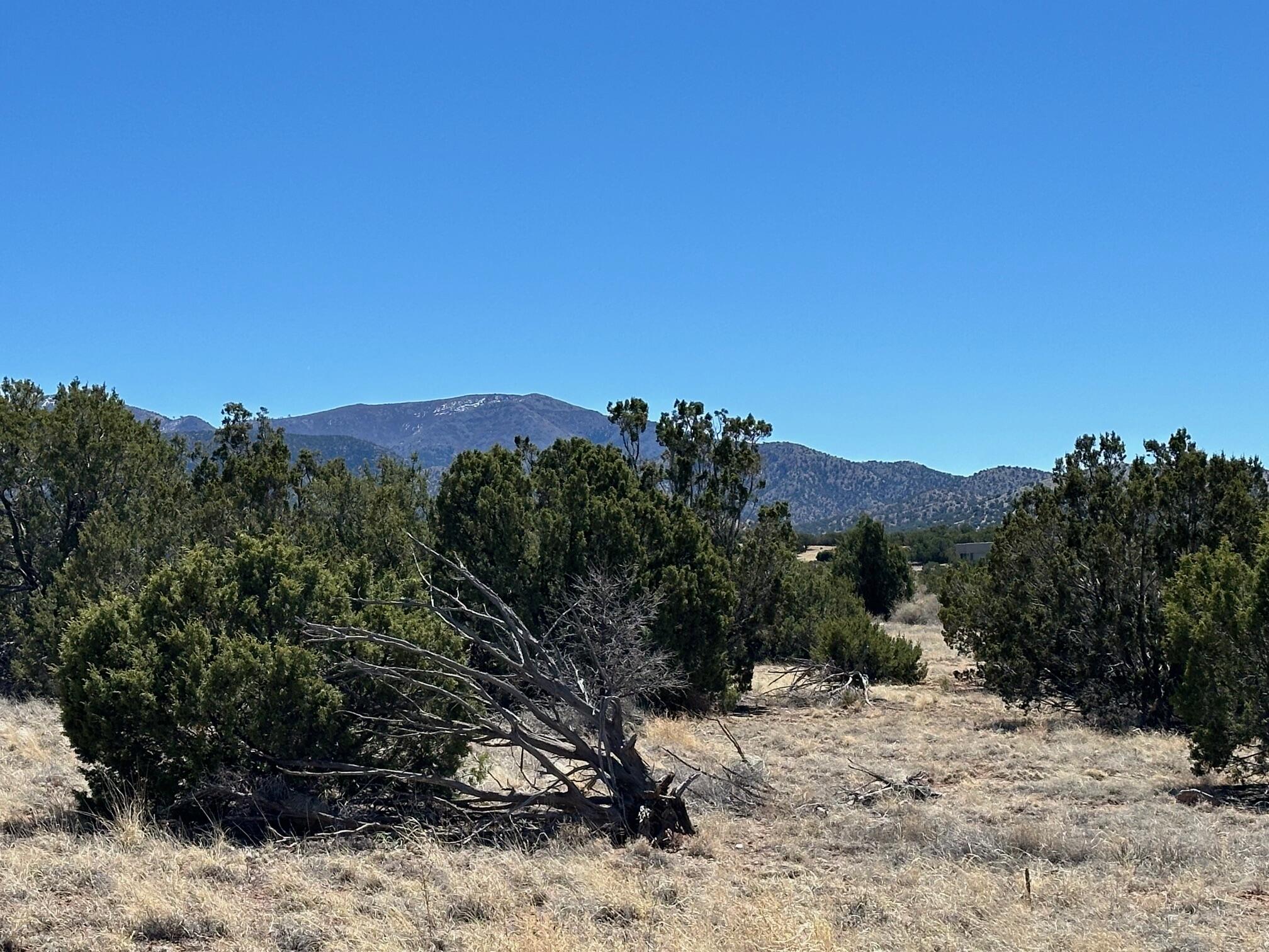 12 Creekside Trail, Sandia Park, New Mexico image 17