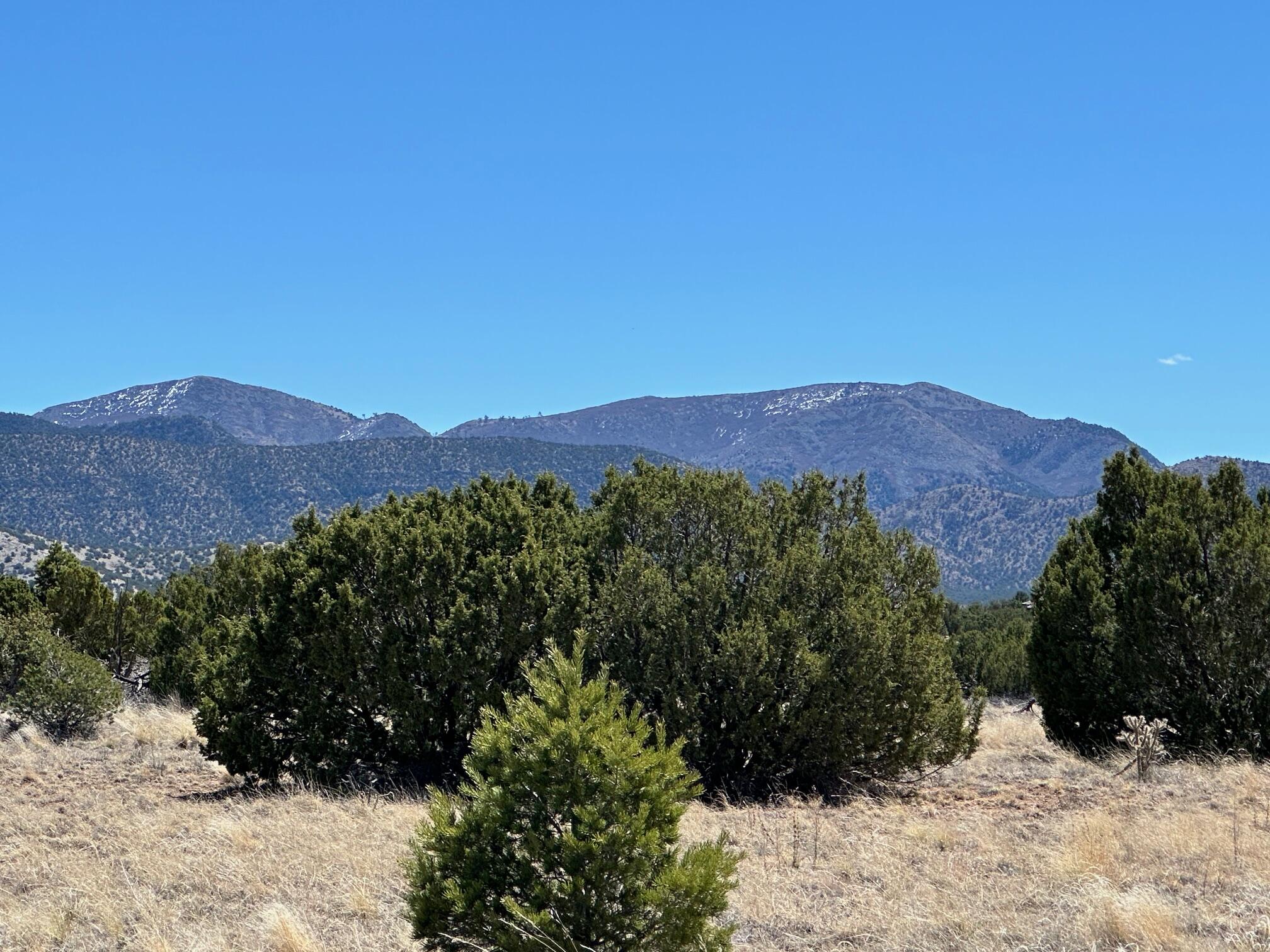 12 Creekside Trail, Sandia Park, New Mexico image 24