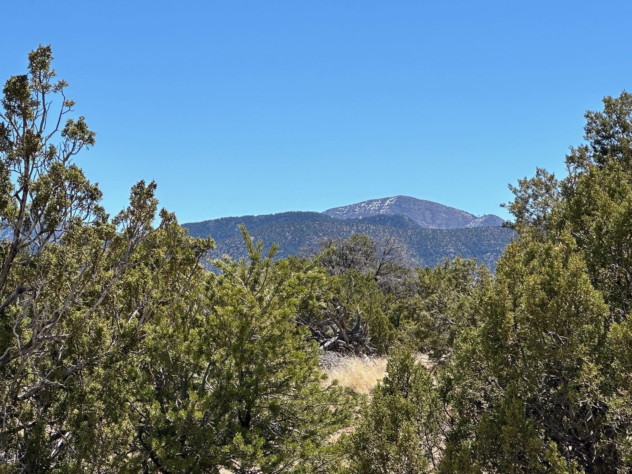 12 Creekside Trail, Sandia Park, New Mexico image 6