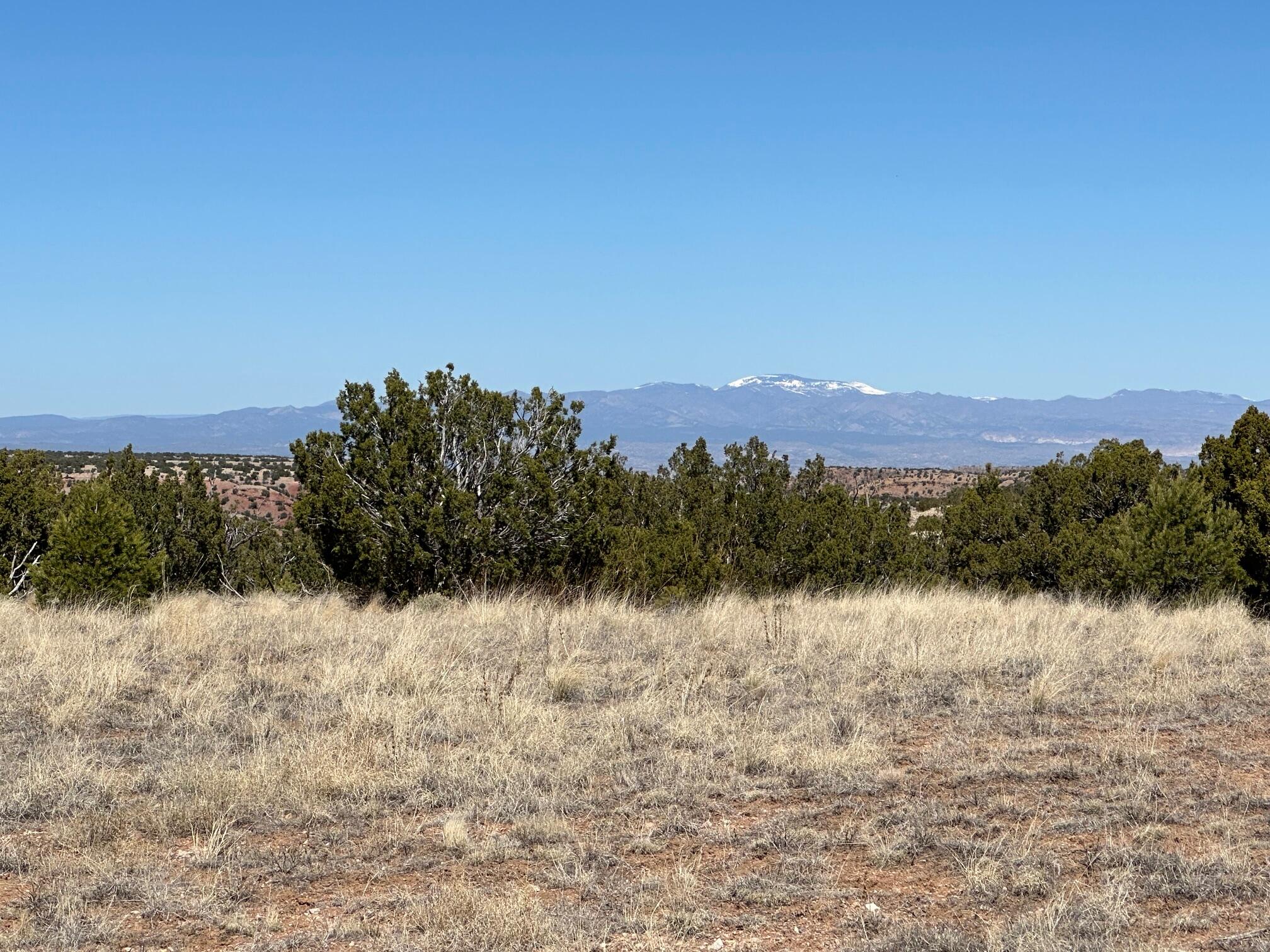 12 Creekside Trail, Sandia Park, New Mexico image 16