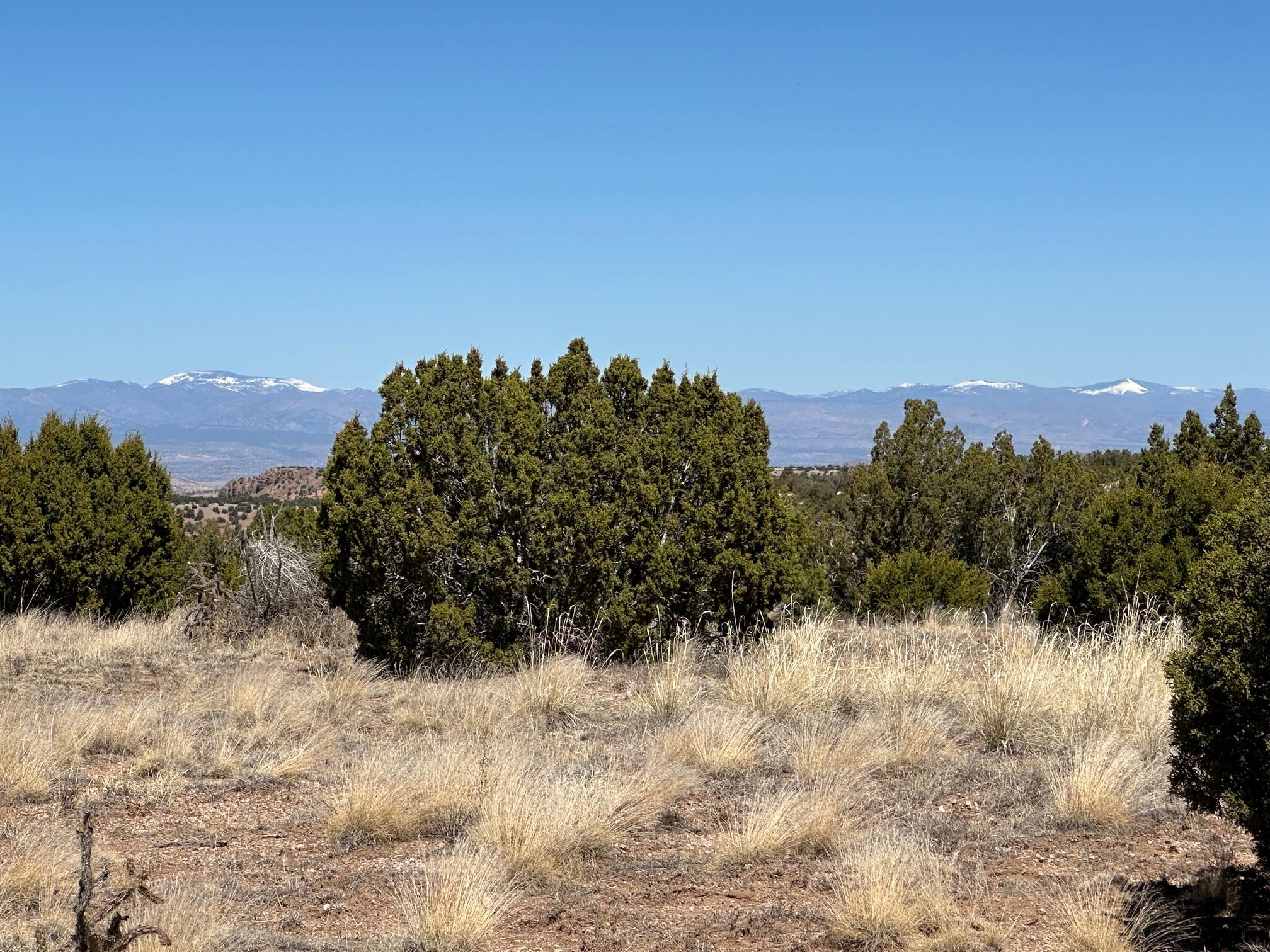 12 Creekside Trail, Sandia Park, New Mexico image 7