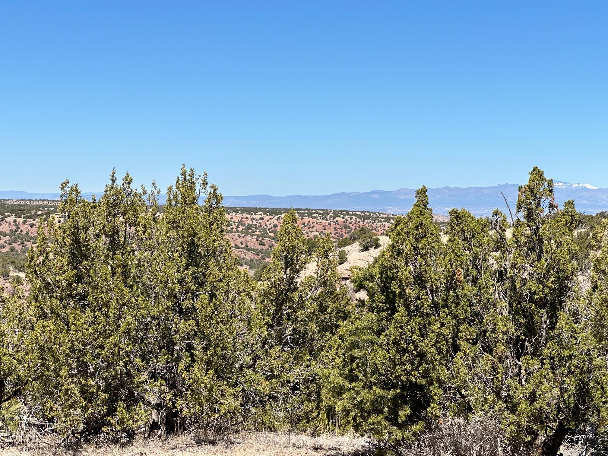 12 Creekside Trail, Sandia Park, New Mexico image 9