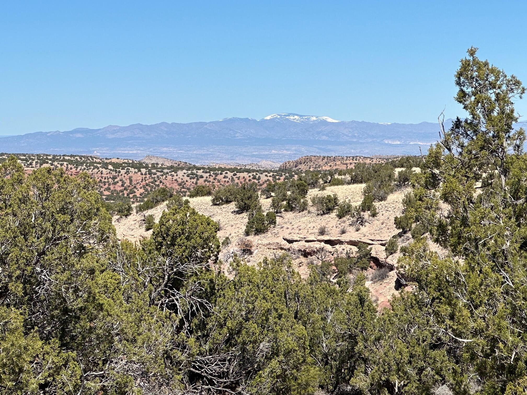 View Sandia Park, NM 87047 land