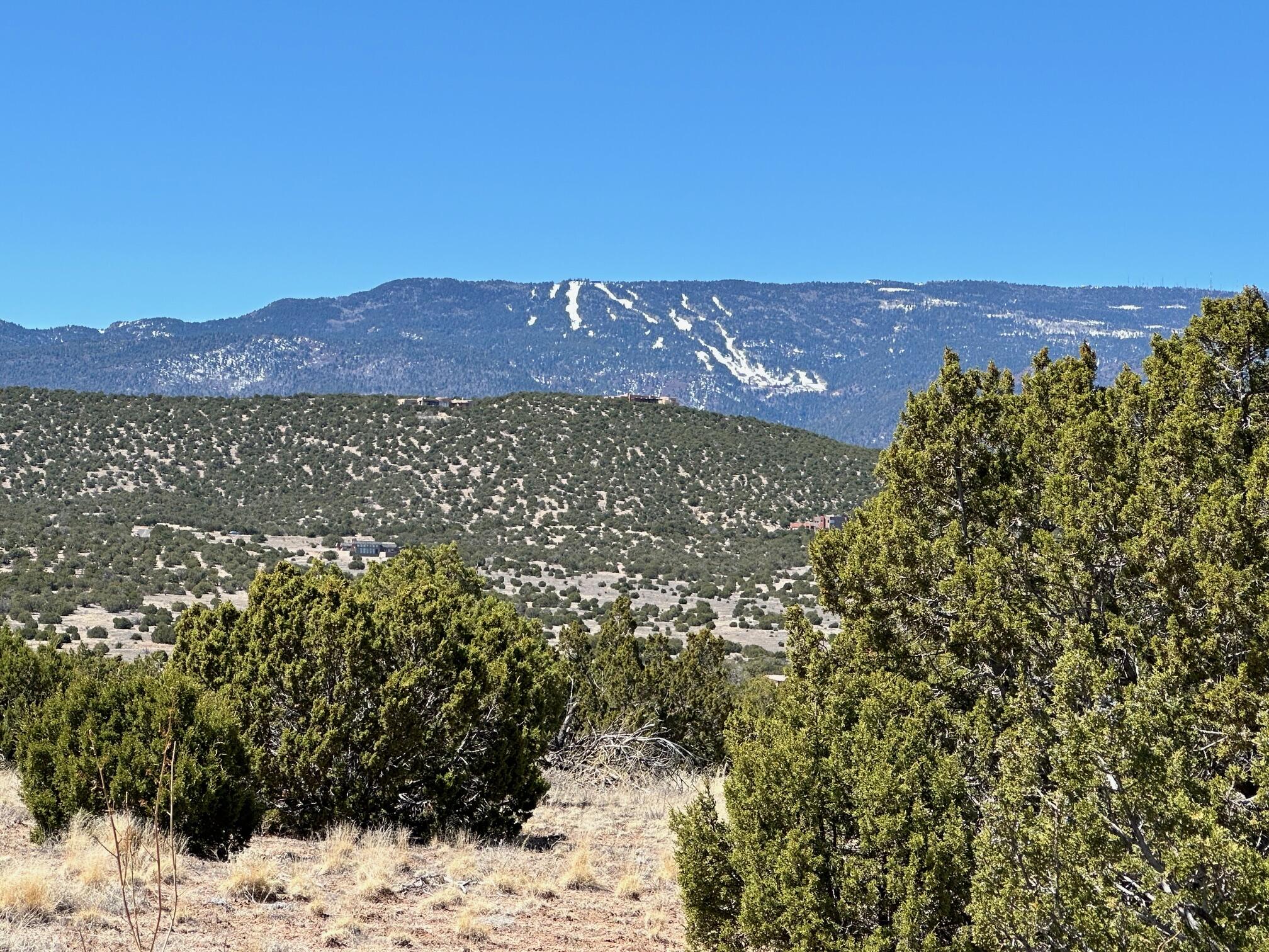 12 Creekside Trail, Sandia Park, New Mexico image 4