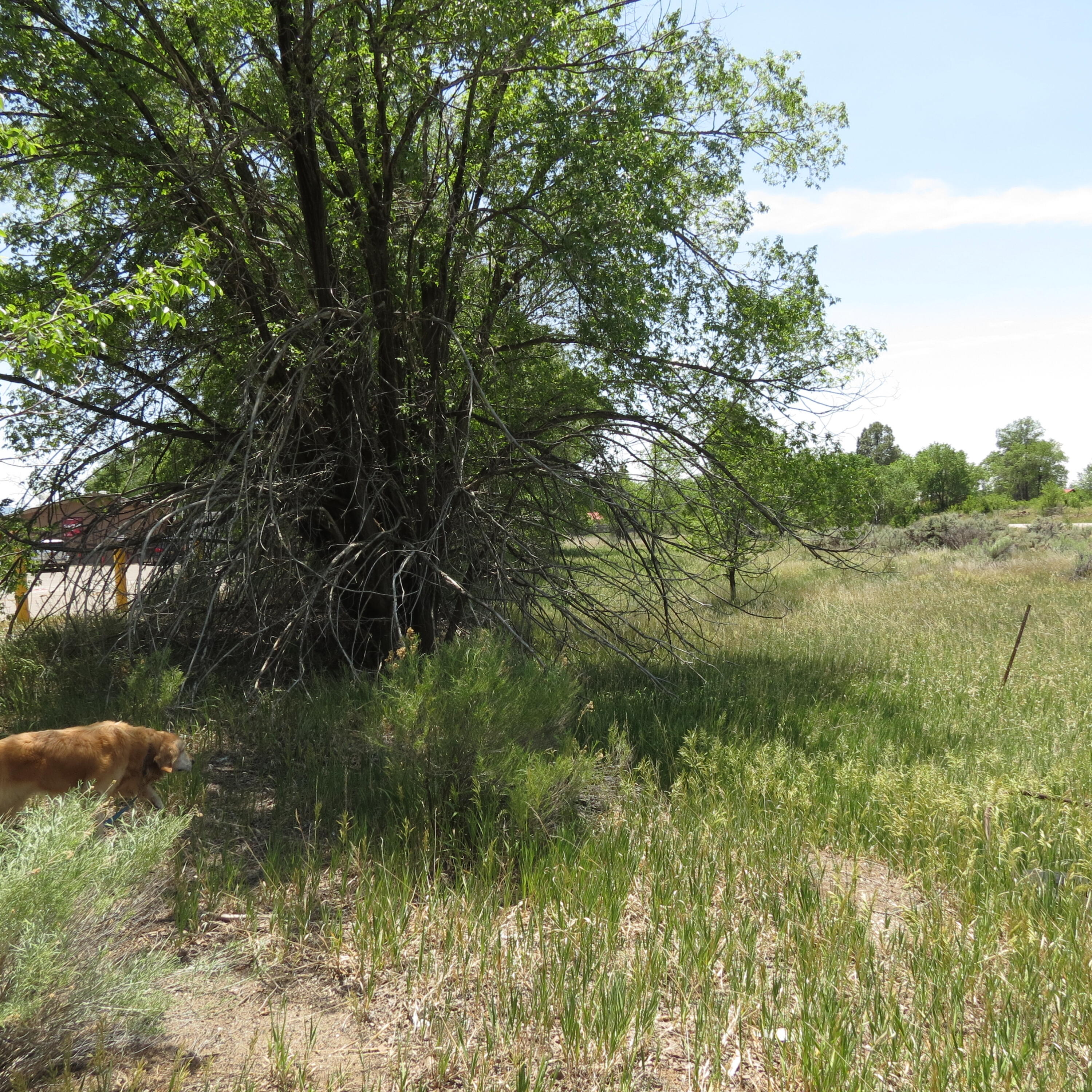 550 & Church Rd, Cuba, New Mexico image 1