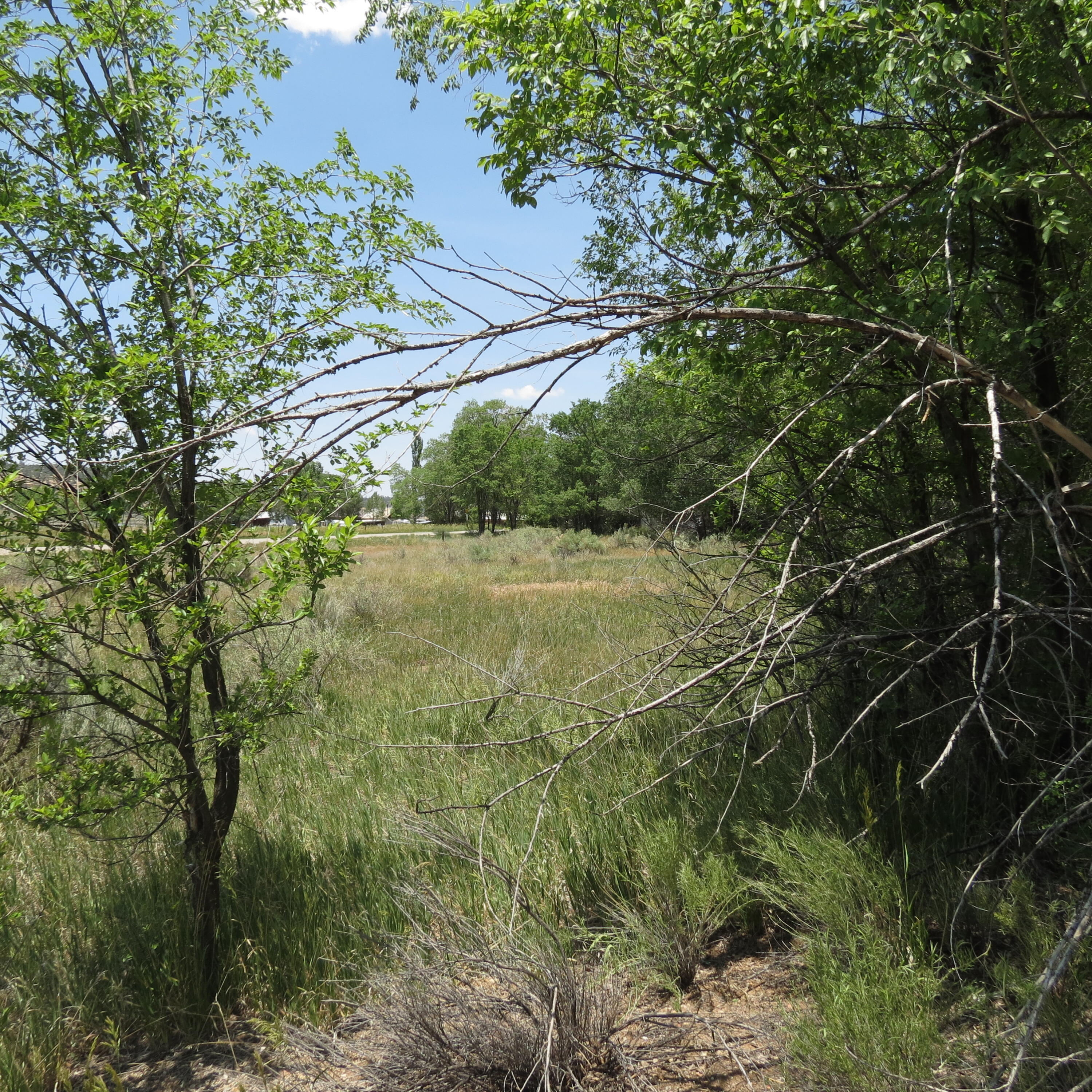 550 & Church Rd, Cuba, New Mexico image 2