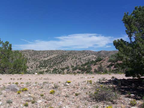 Vacant Land For Sale - 56 Camino De Las Brisas<br/> Placitas, NM 87043