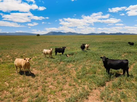 Vacant Land For Sale - 1021 Dinkle Road Road<br/> Stanley, NM 87056