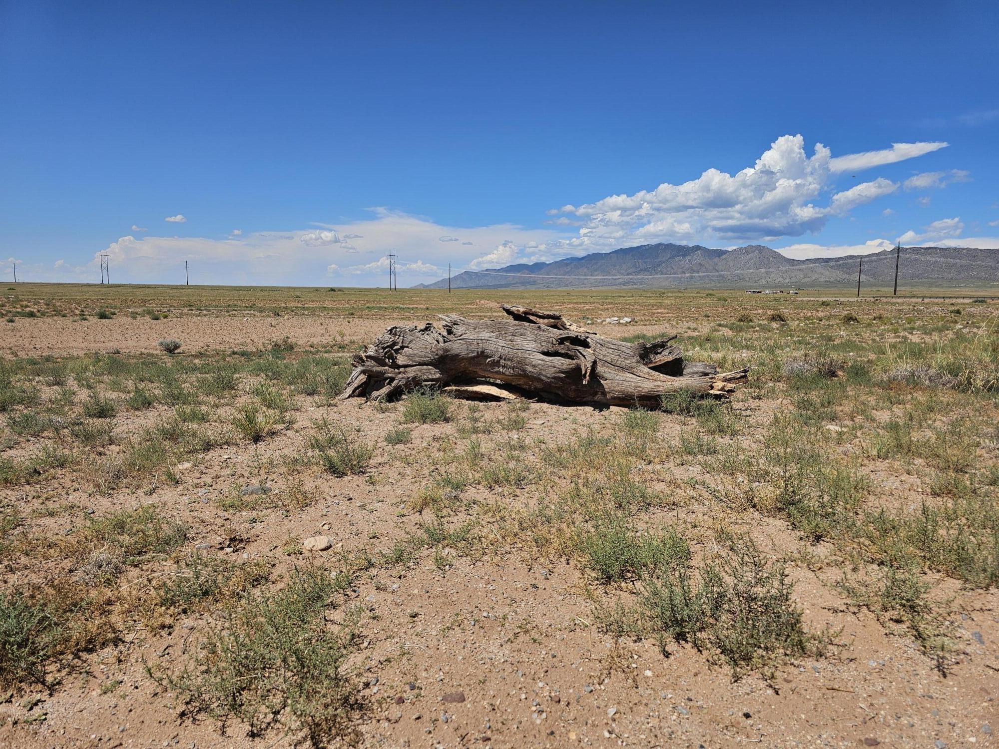 Vl Lot 19 Lot 20 Block 9 #5, Socorro, New Mexico image 4