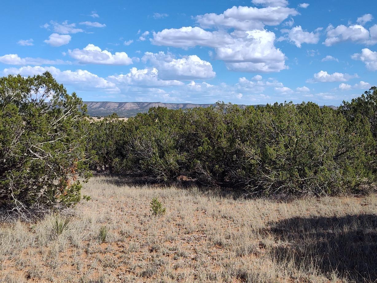 Old Abo Trail