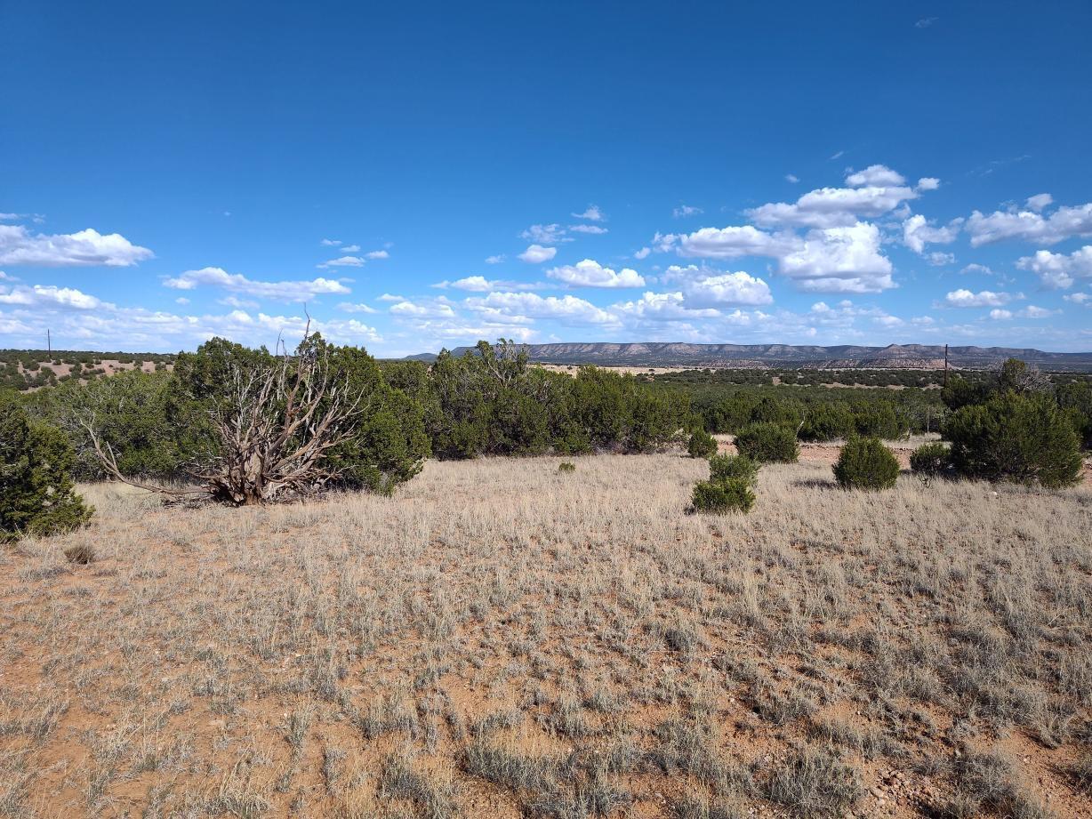 Old Abo Trail