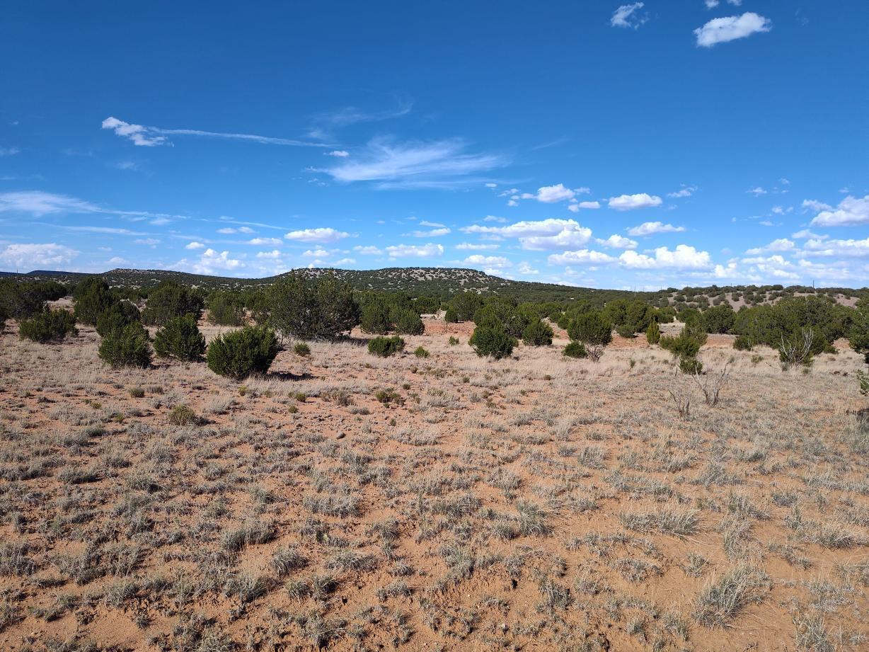 Old Abo Trail