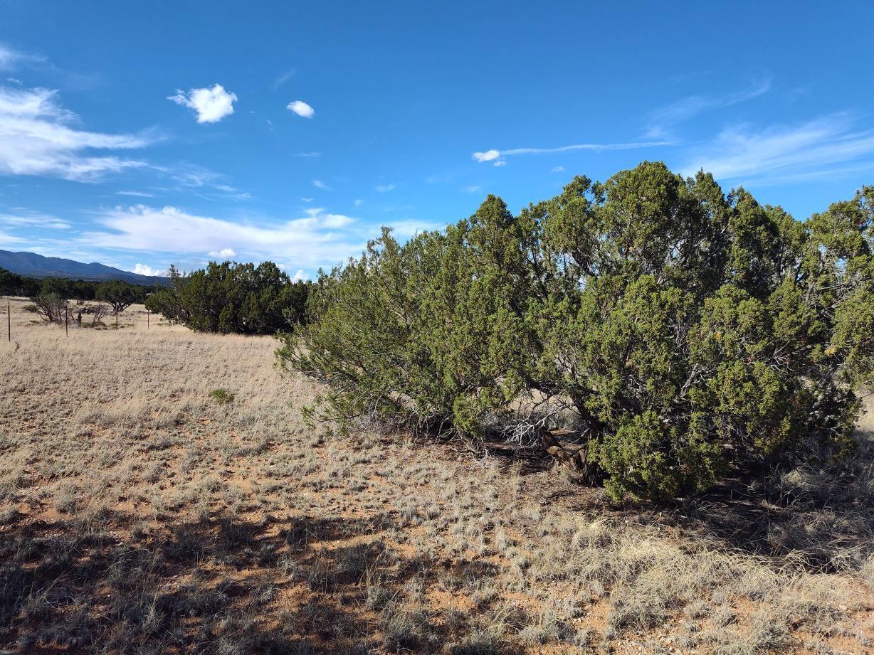 Old Abo Trail