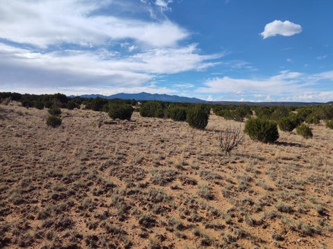 Vacant Land For Sale - Old Abo Trail<br/> Torrance County, Mountainair, NM 87036