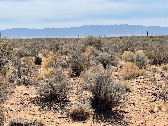 Upc# 1002036299017000000, Los Lunas, New Mexico image 12