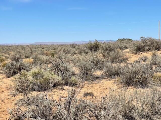 Upc# 1002036299017000000, Los Lunas, New Mexico image 10