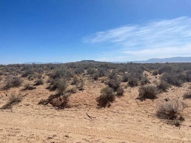 Upc# 1002036299017000000, Los Lunas, New Mexico image 1