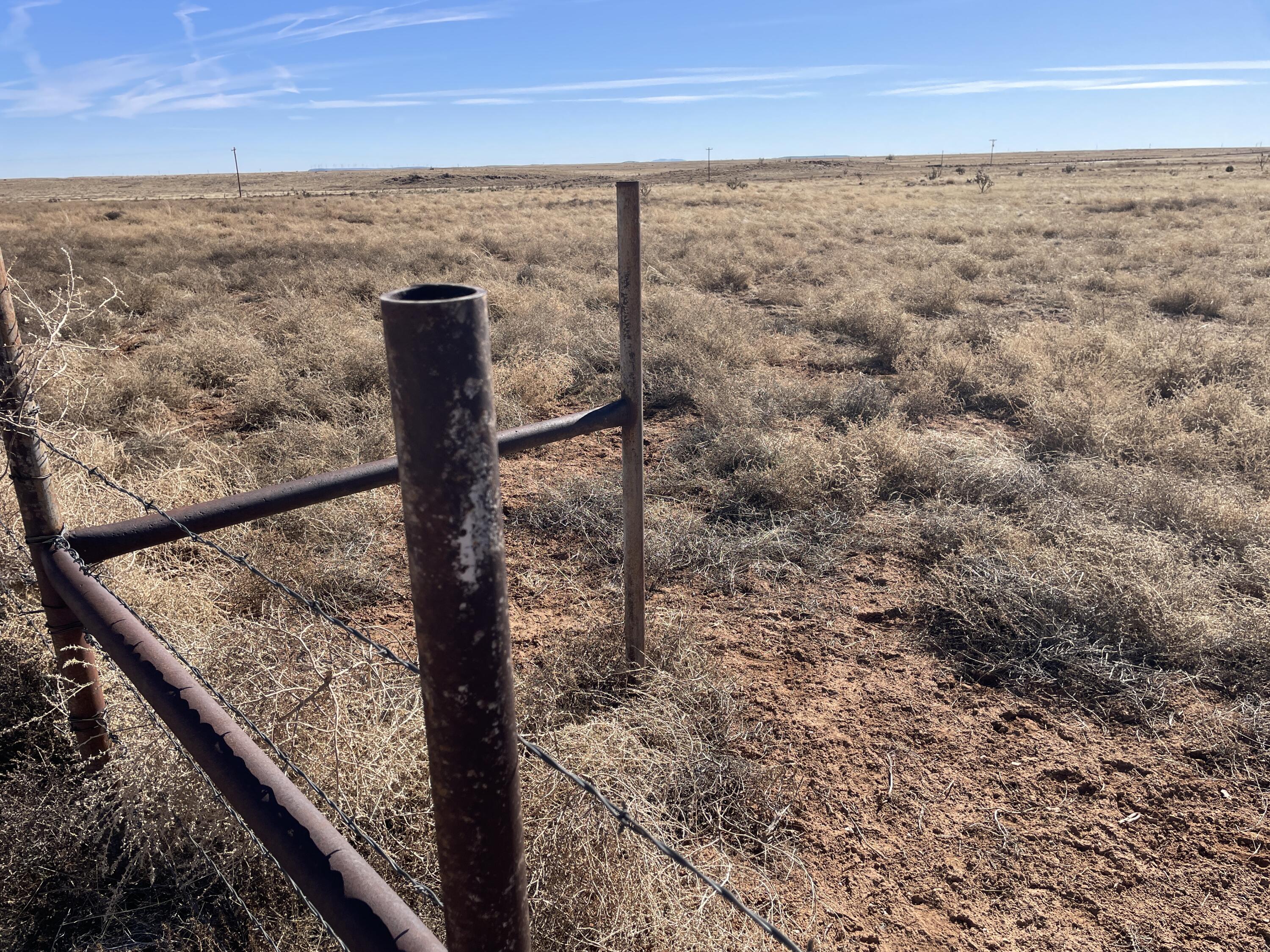 Old Willard Road, Mountainair, New Mexico image 4