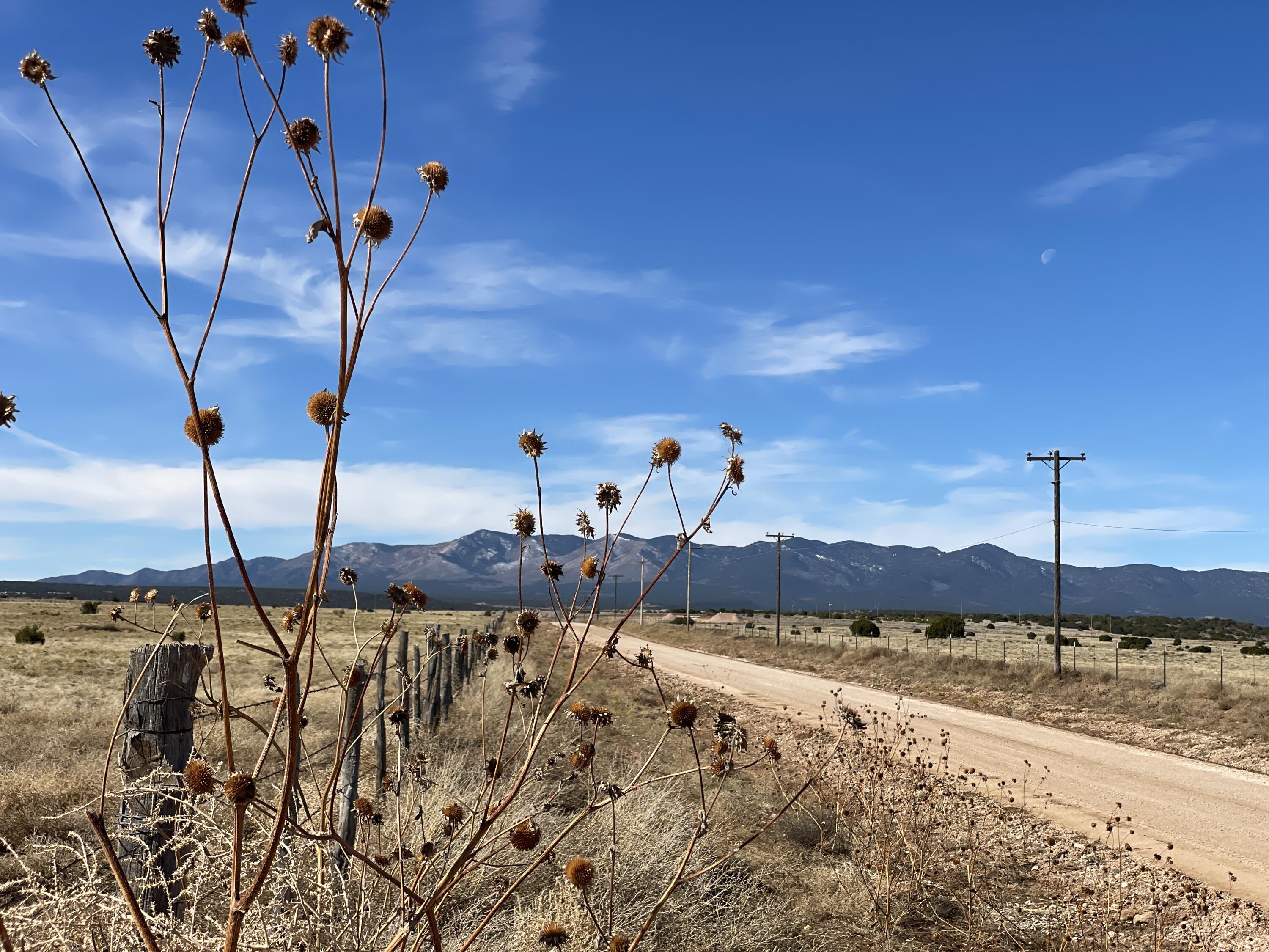 Old Willard Road, Mountainair, New Mexico image 8