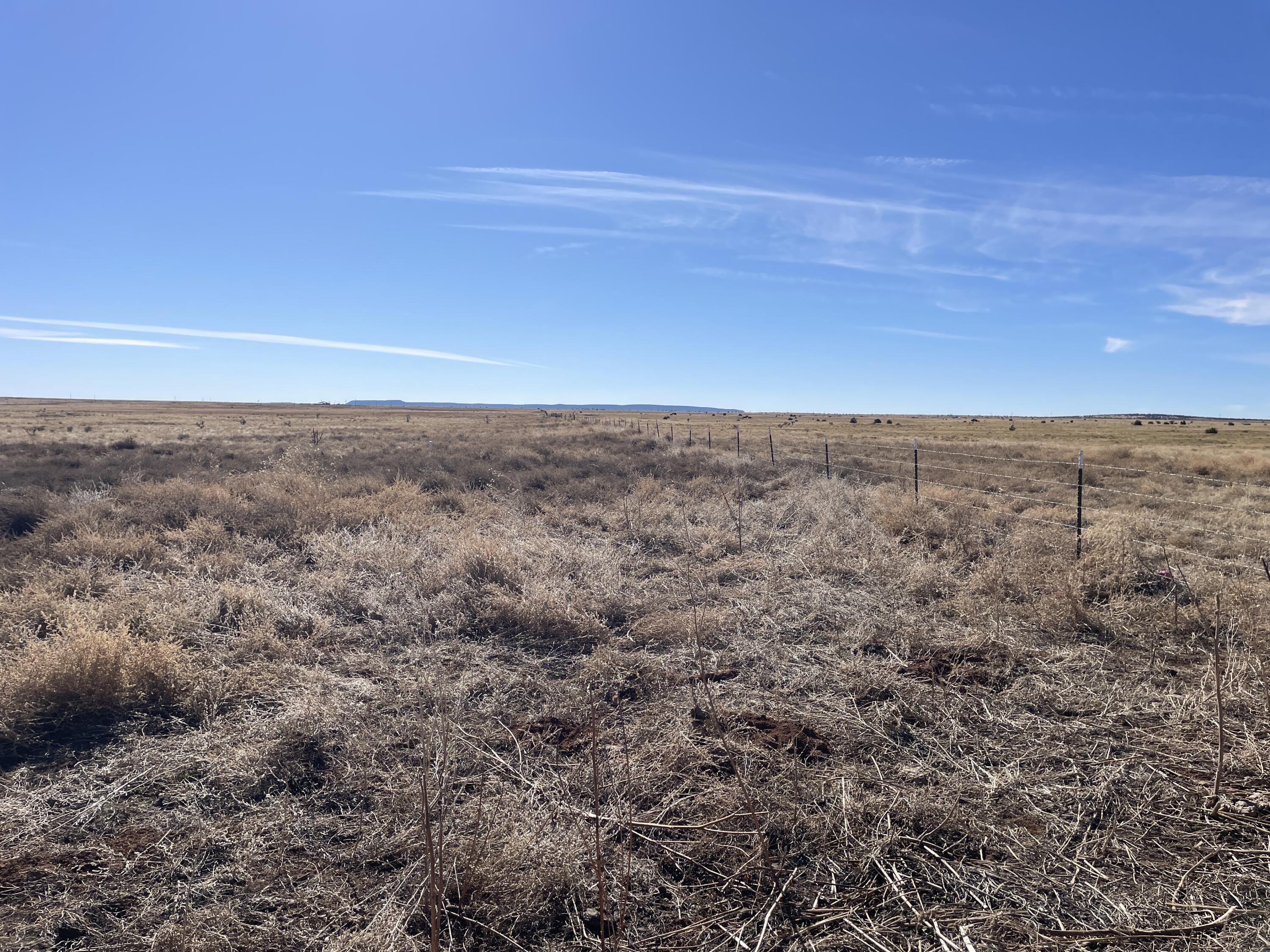 Old Willard Road, Mountainair, New Mexico image 5