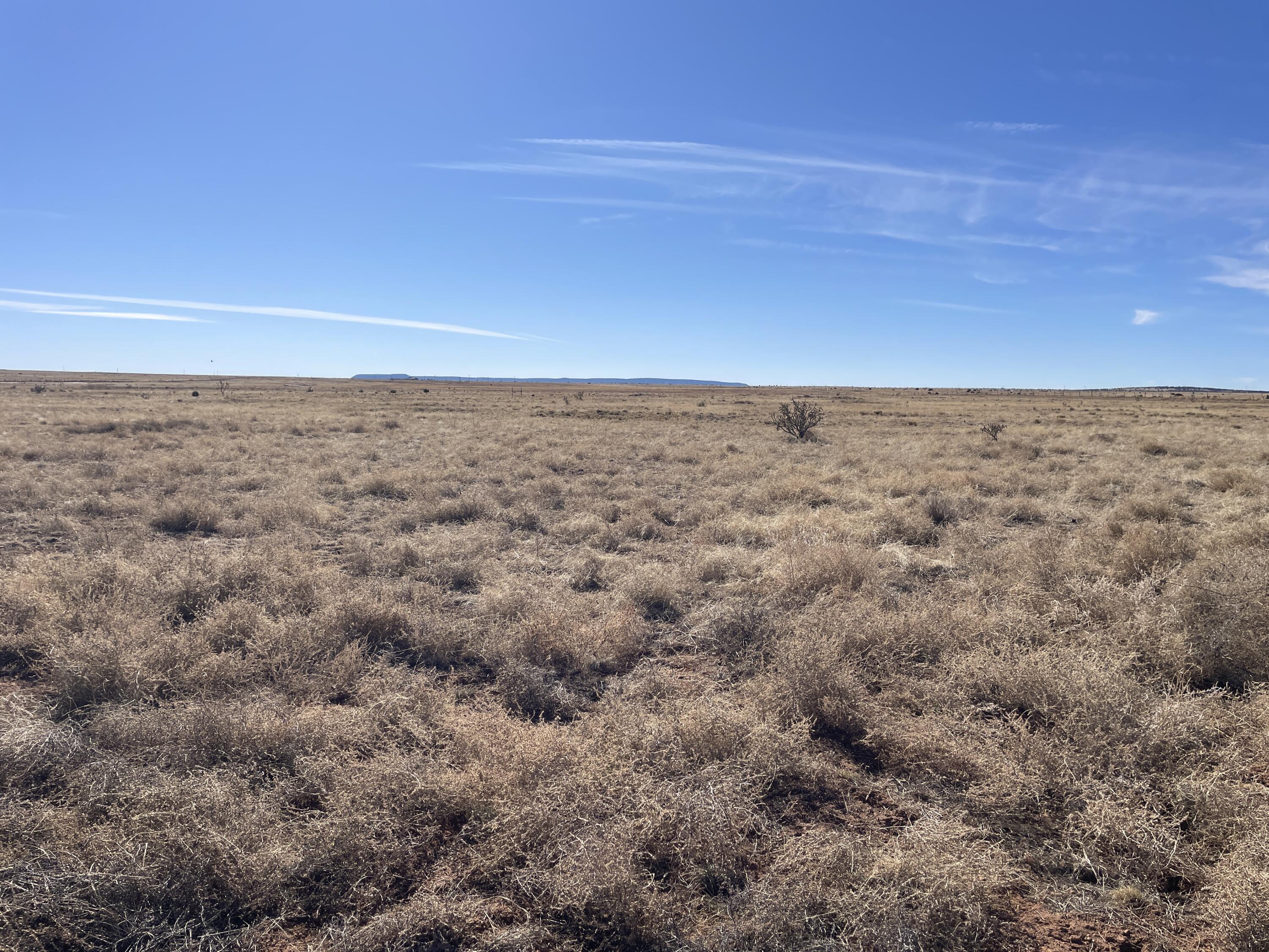 Old Willard Road, Mountainair, New Mexico image 1