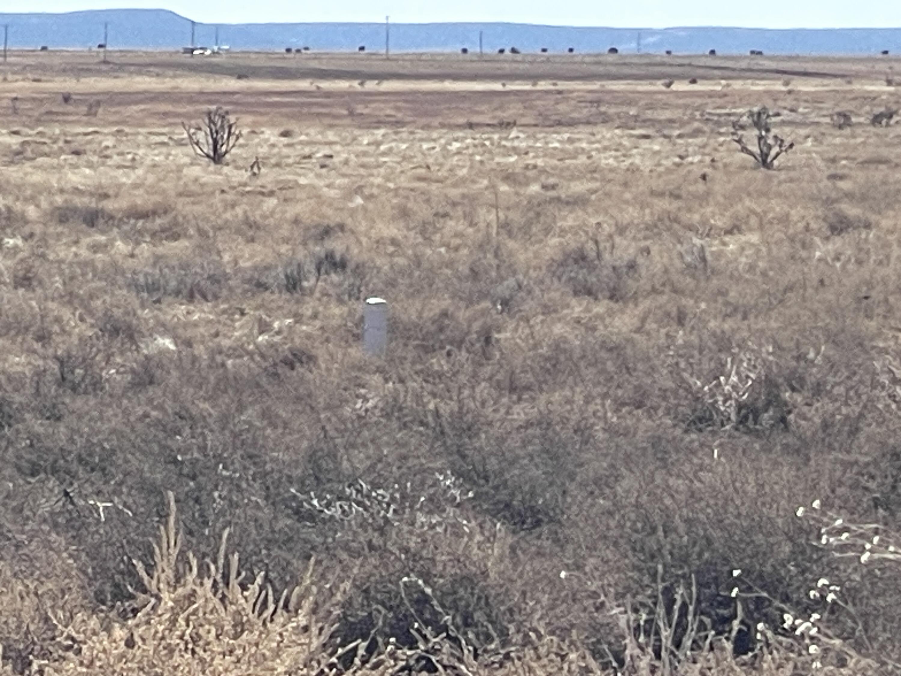 Old Willard Road, Mountainair, New Mexico image 7