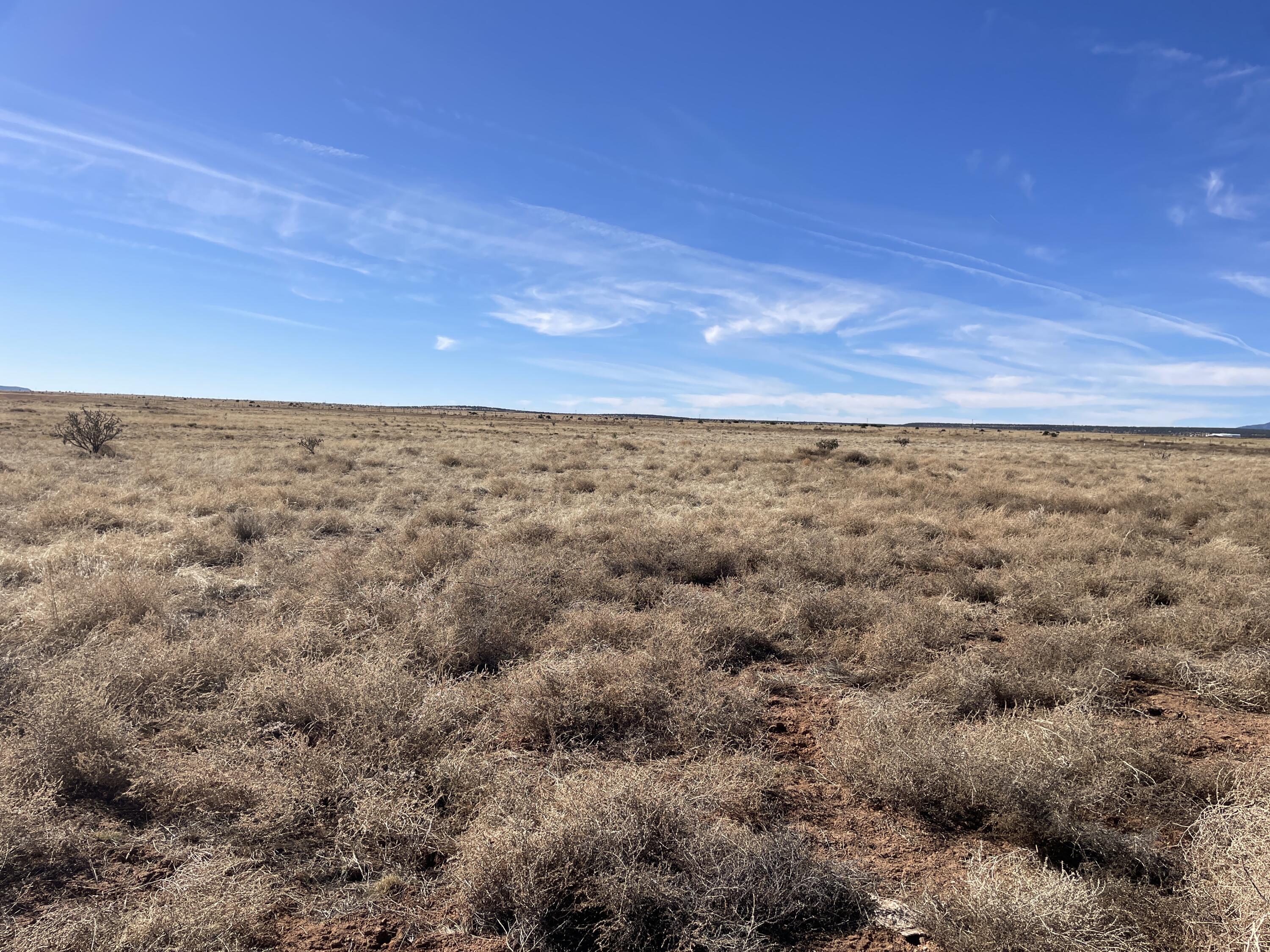 Old Willard Road, Mountainair, New Mexico image 2