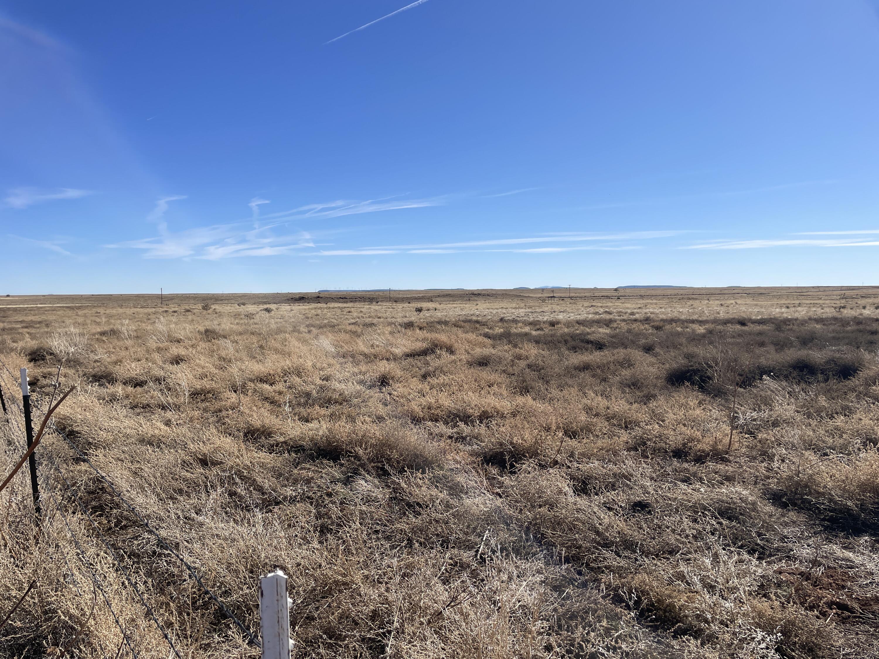 Old Willard Road, Mountainair, New Mexico image 6