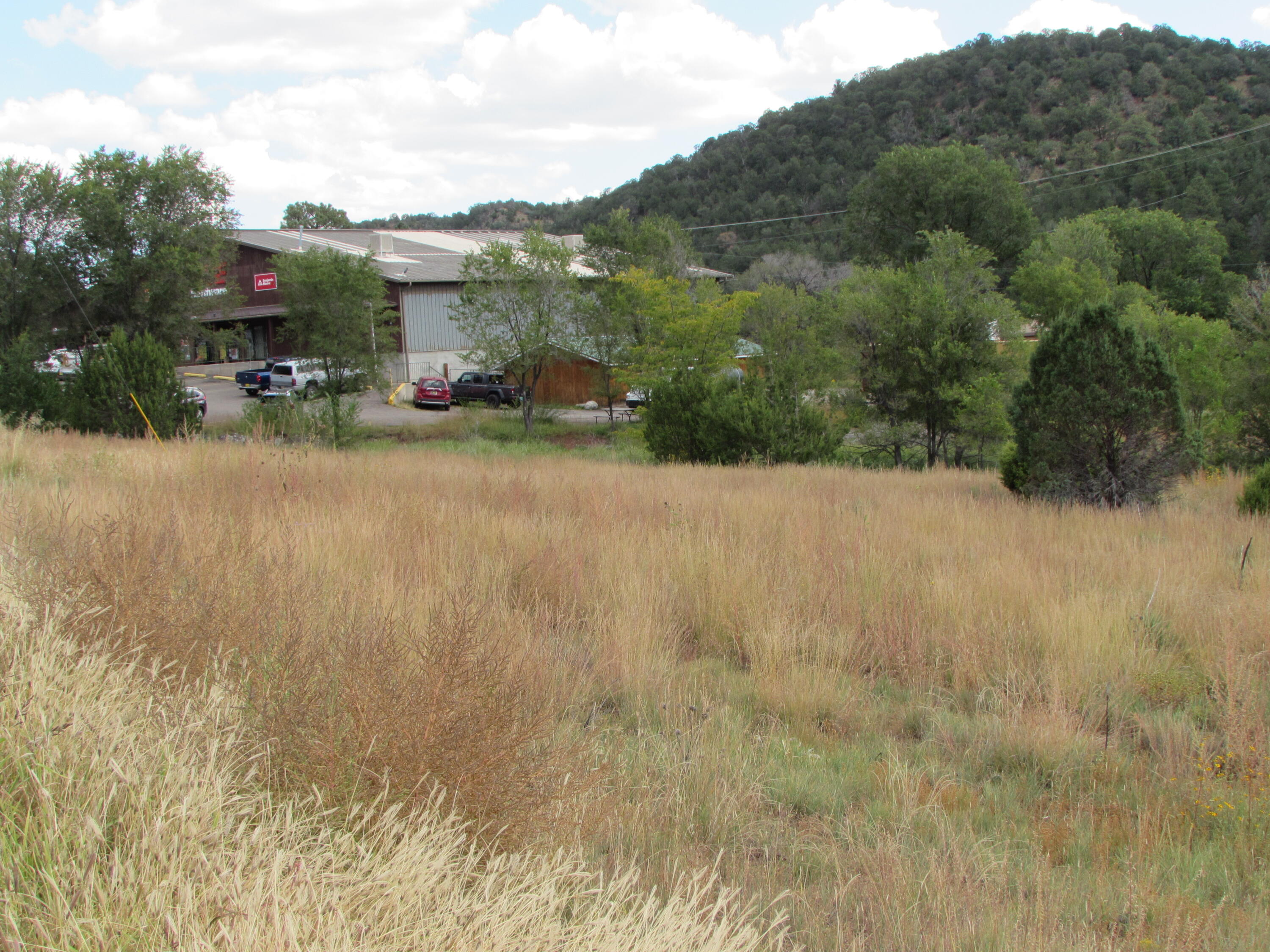 North 14, Cedar Crest, New Mexico image 8