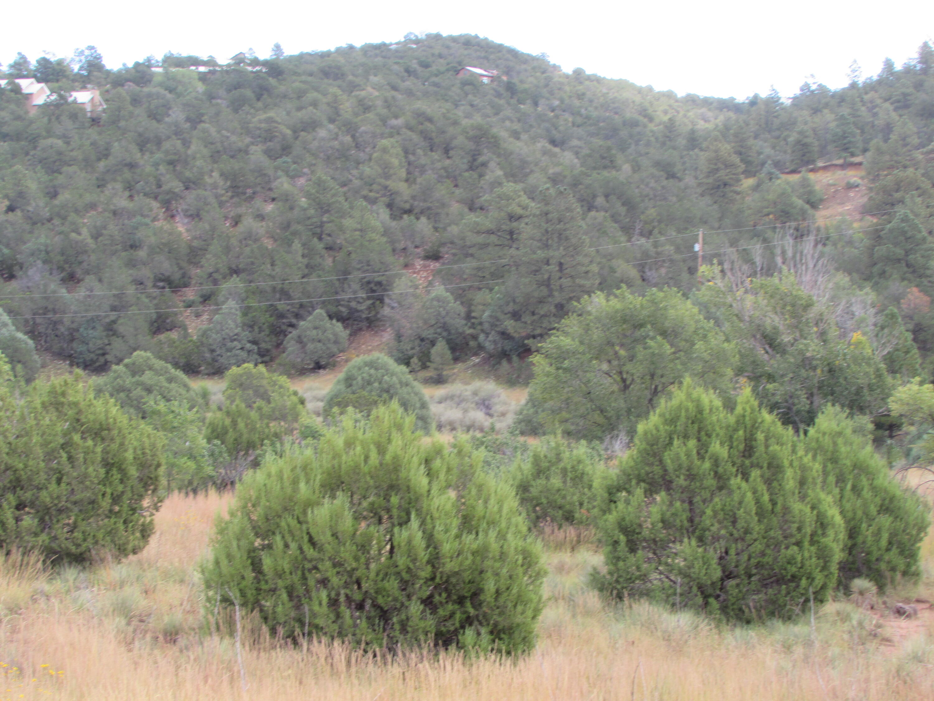 North 14, Cedar Crest, New Mexico image 4