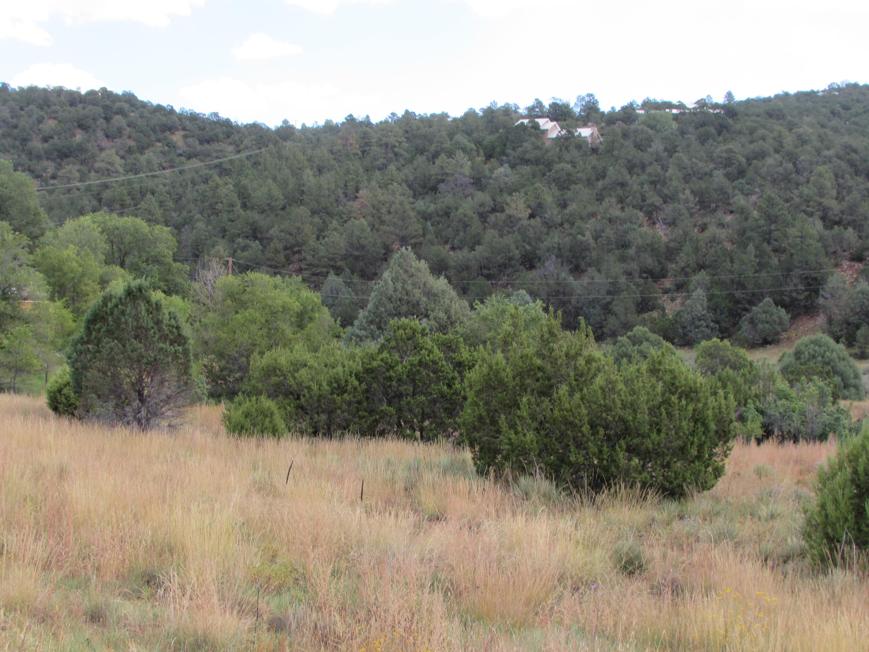 North 14, Cedar Crest, New Mexico image 10