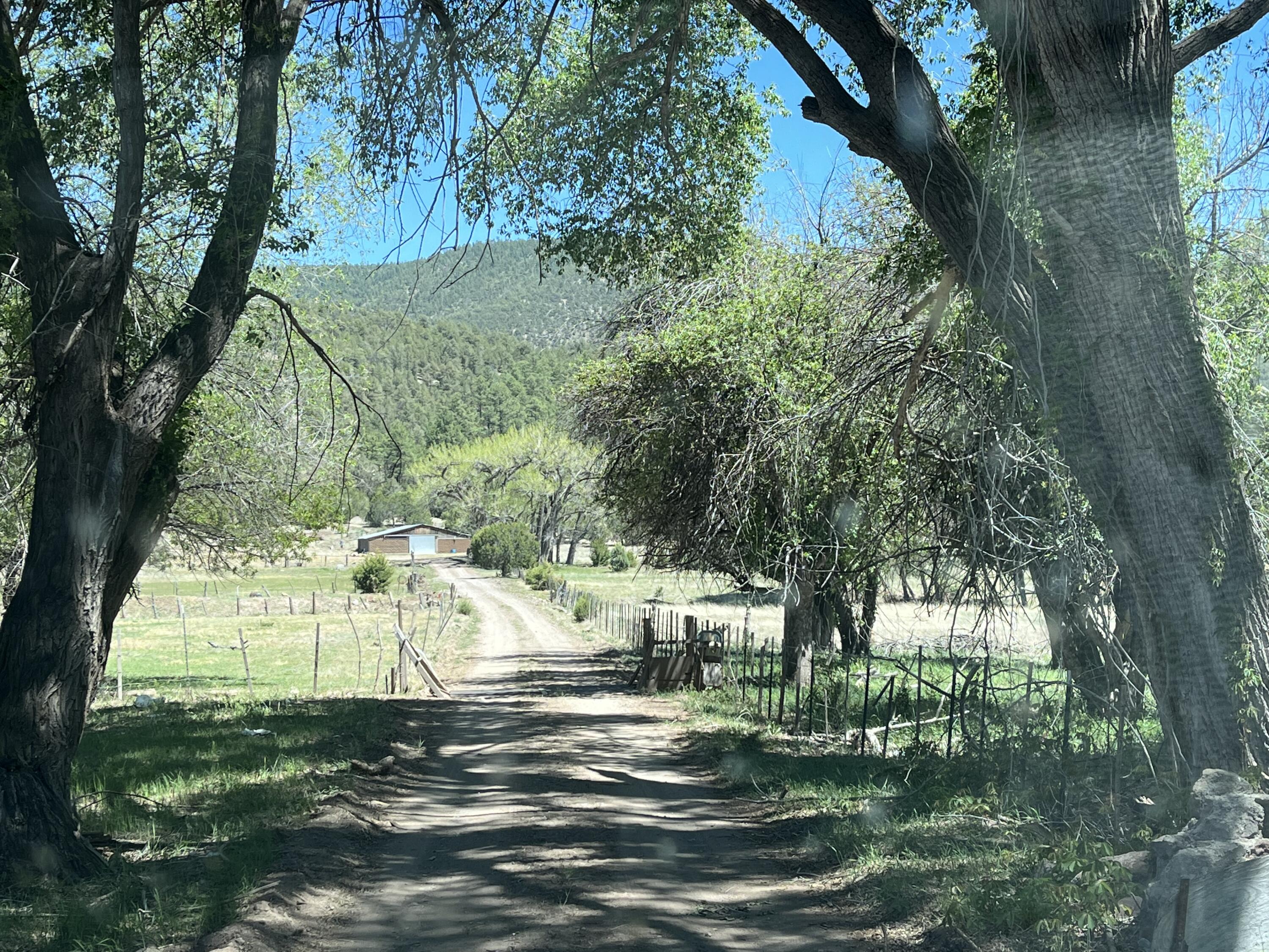 2664 Nm-12, Aragon, New Mexico image 5