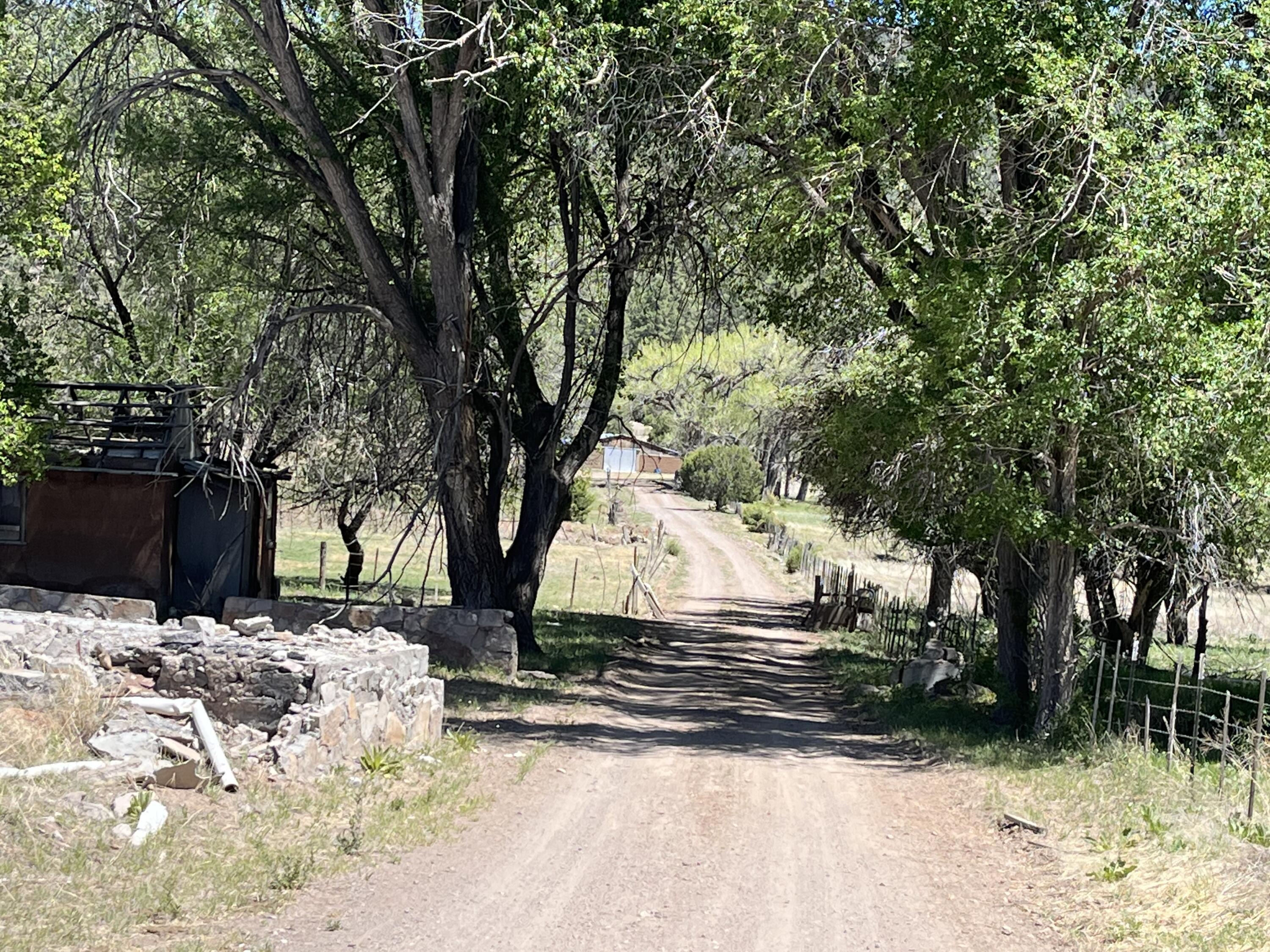 2664 Nm-12, Aragon, New Mexico image 4