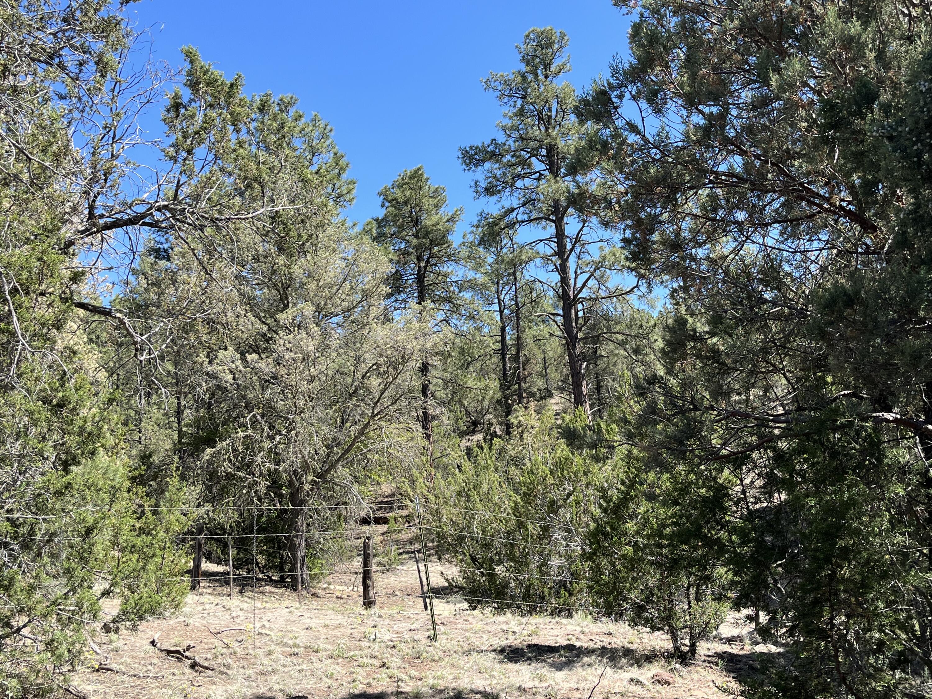 2664 Nm-12, Aragon, New Mexico image 28