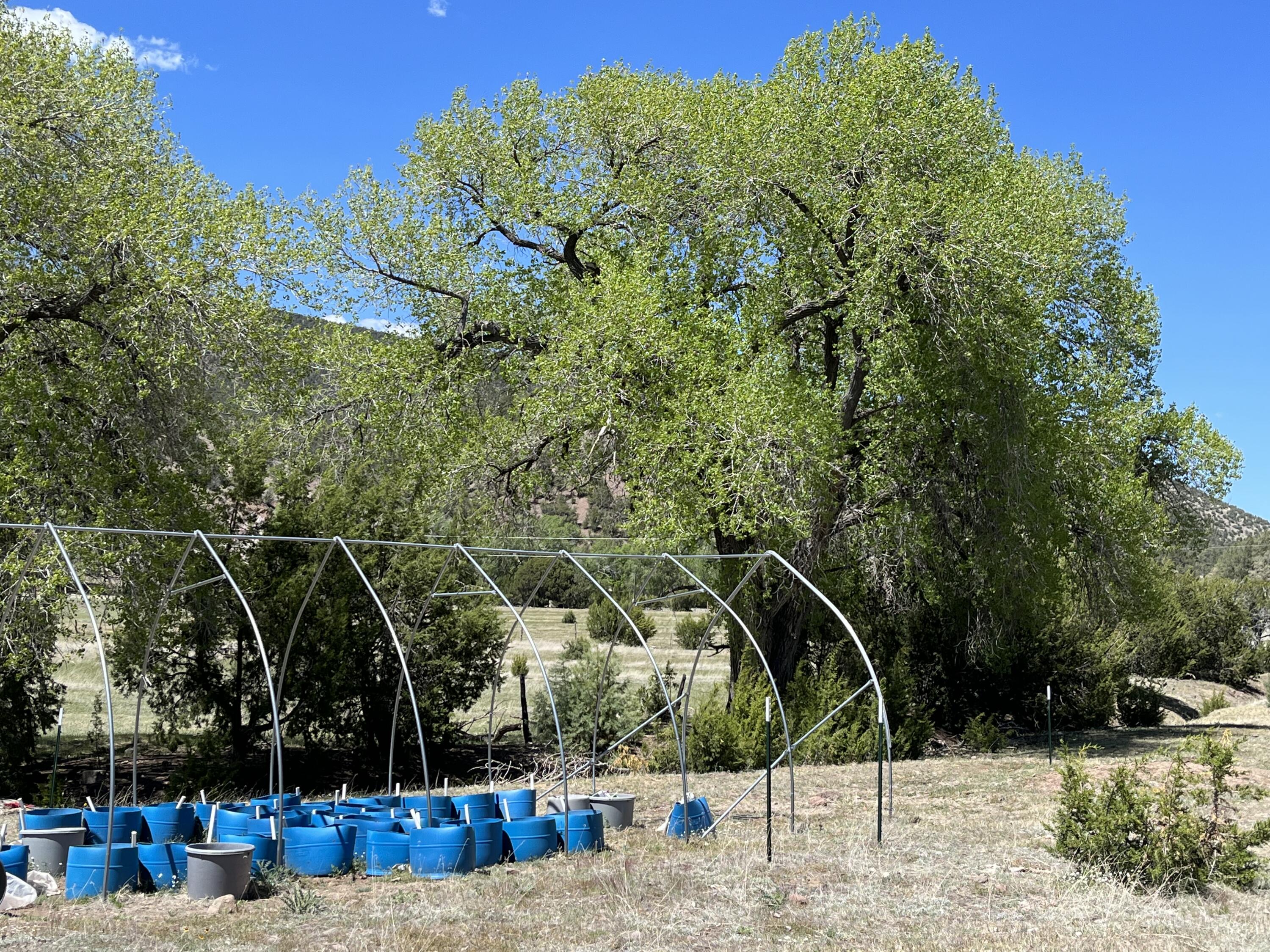 2664 Nm-12, Aragon, New Mexico image 7