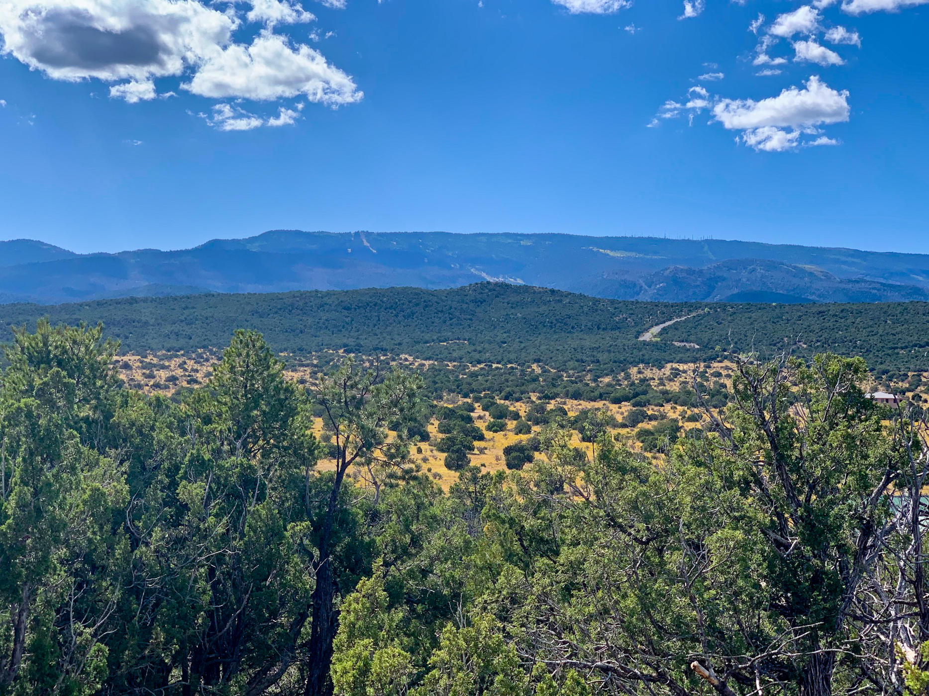 10 Los Cedros, Sandia Park, New Mexico image 13